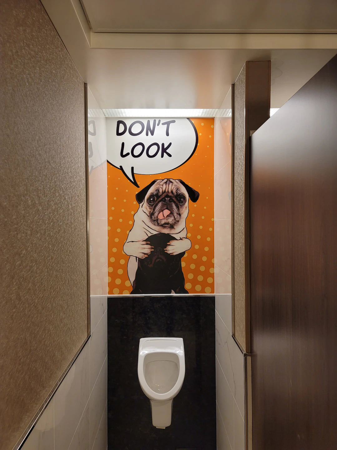 WC-Sitze als Gesprächsstarter Die Geschichten dahinter