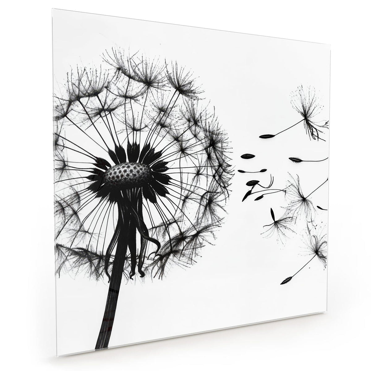 #grösse_40 x 40 cm #grösse_50 x 50 cm #grösse_60 x 60 cm