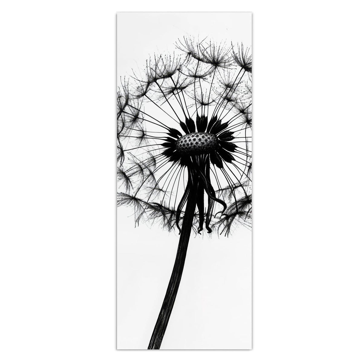 Wandbild - Pusteblume auf Weiß - Hochformat – Löwenzahn mit davonschwebenden Samen