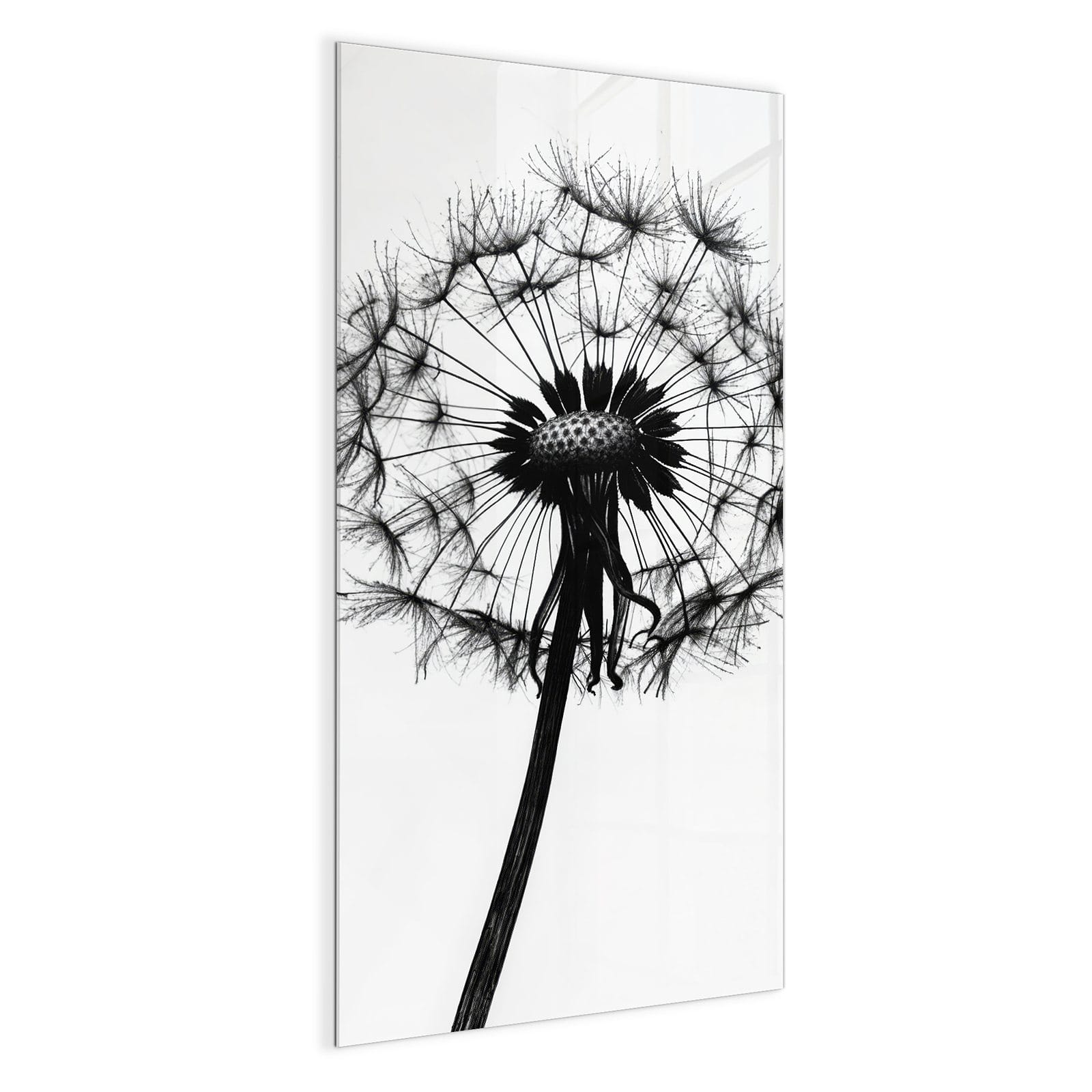 #grösse_50 x 100 cm