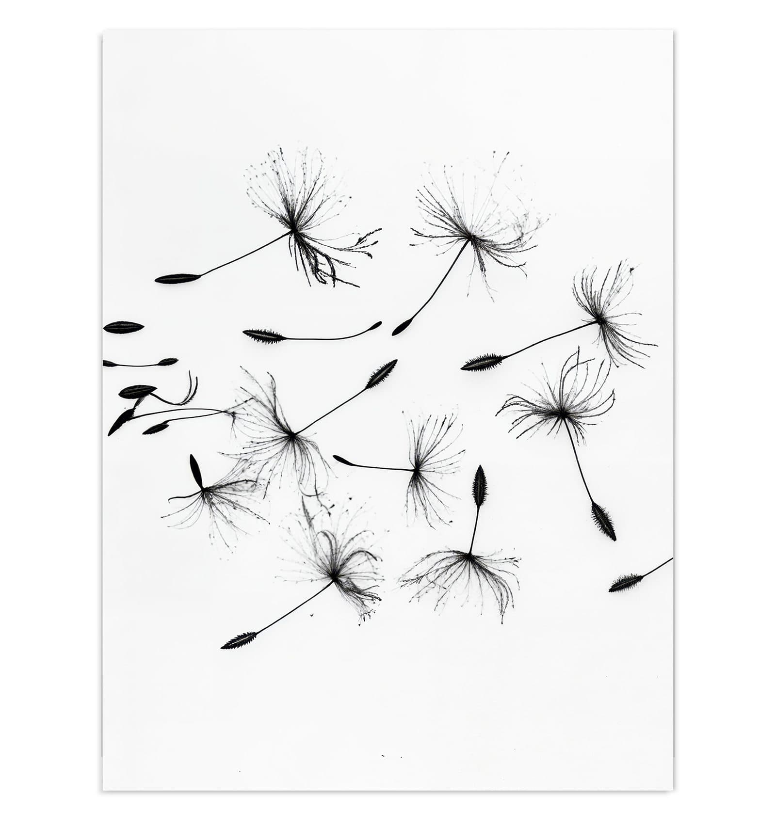 #grösse_30 x 40 cm #grösse_60 x 80 cm #grösse_75 x 100 cm