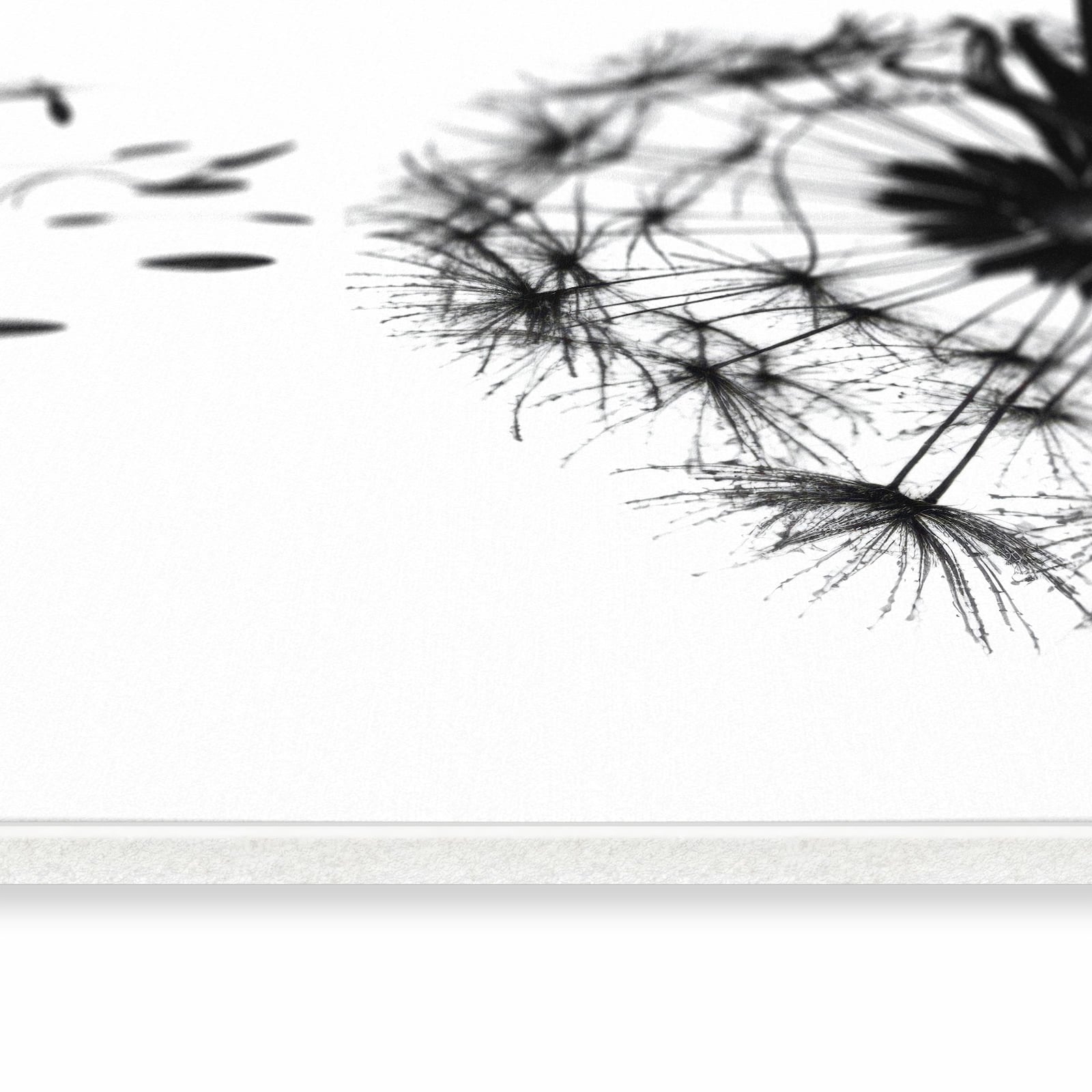 Rutschfester Küchenteppich mit Motiv Pusteblume in seitlicher Ansicht