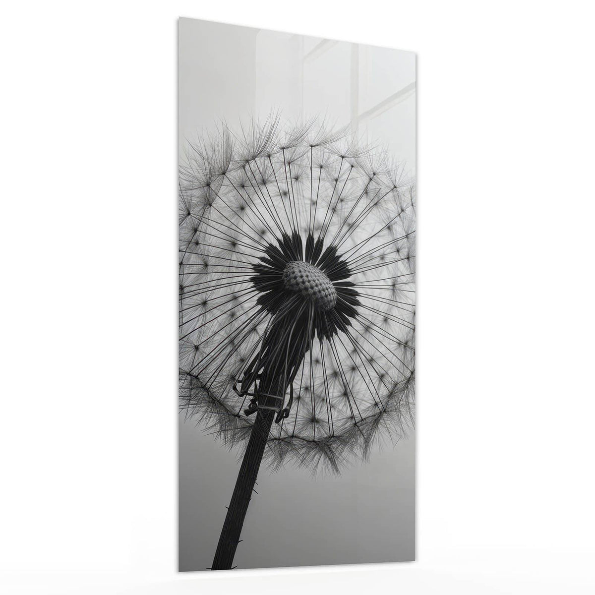 Wandbild aus Glas Pusteblume im Wind schräg von der Seite, 4 mm starkes Echtglas #grösse_30 x 60 cm #grösse_40 x 80 cm #grösse_50 x 100 cm #grösse_55 x 110 cm #grösse_60 x 120 cm