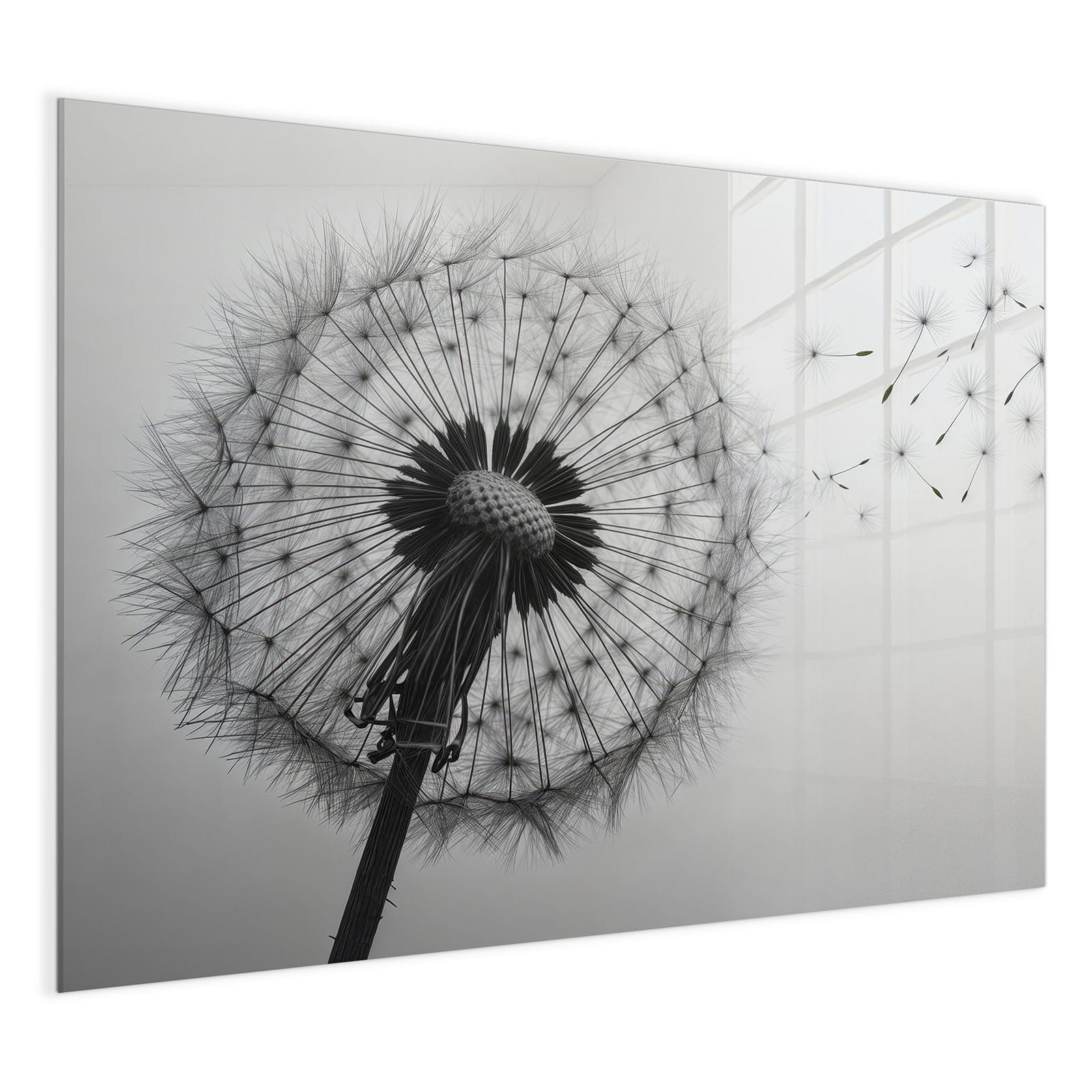 #grösse_120 x 90 cm