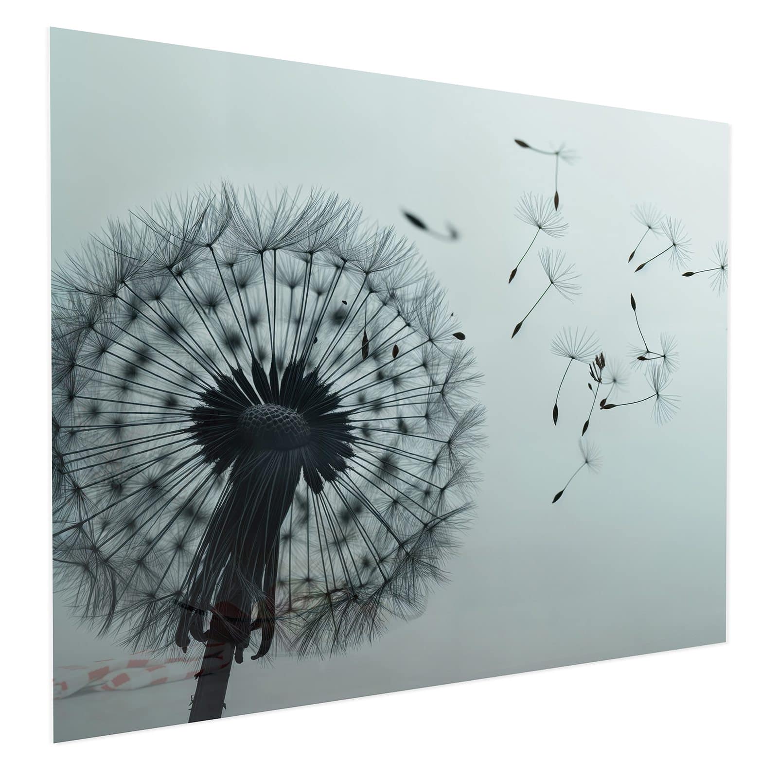 #grösse_75 x 60 cm #grösse_100 x 80 cm