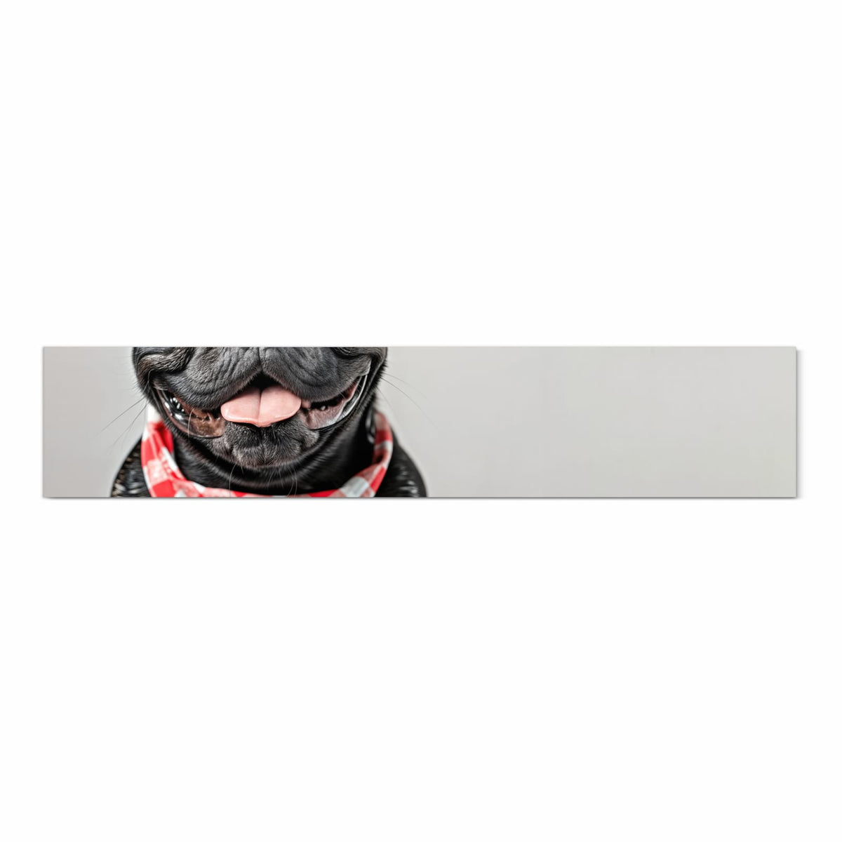 Schwarze Französische Bulldogge mit rot-weiß kariertem Halstuch, Pfoten auf weißer Kante