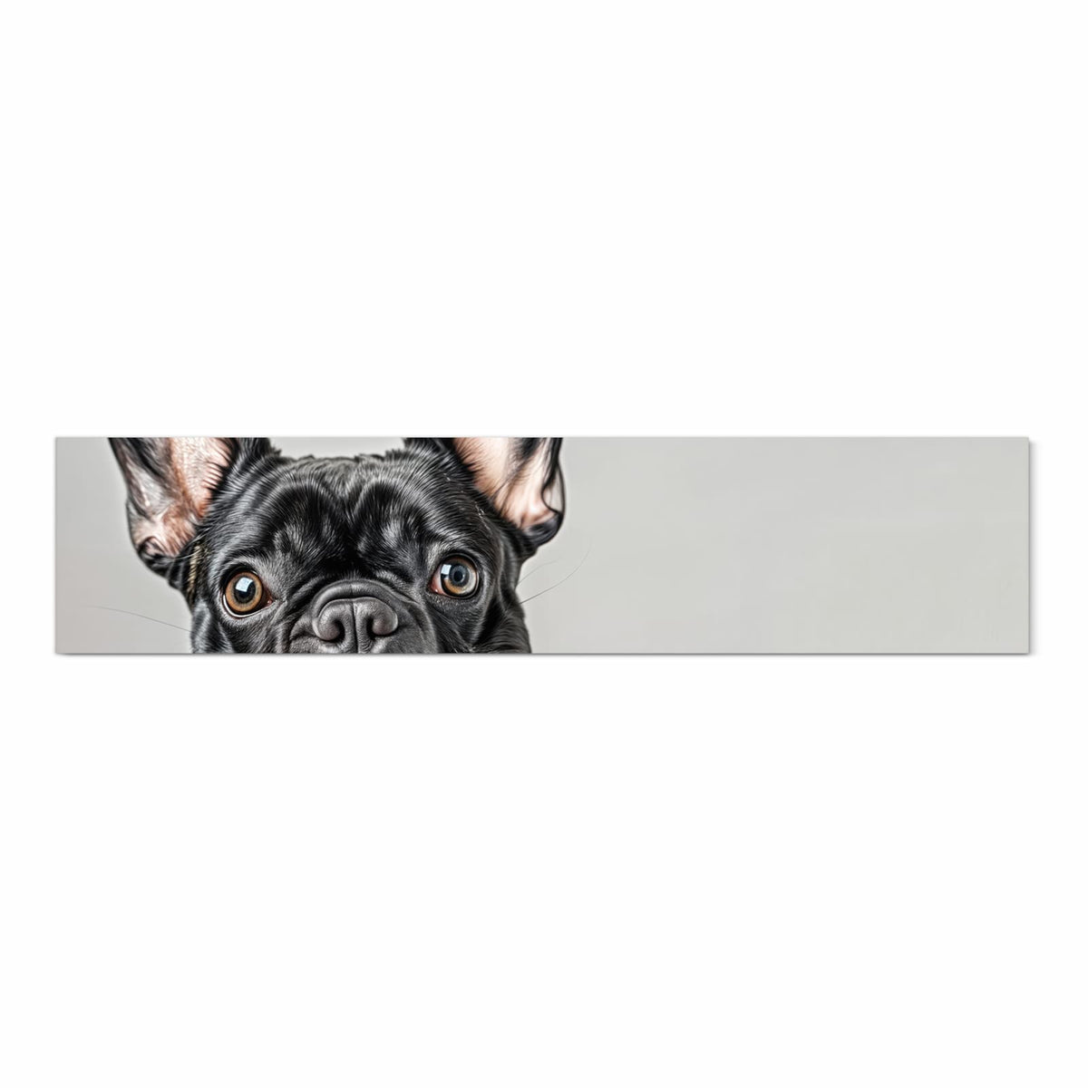 Schwarze Französische Bulldogge mit rot-weiß kariertem Halstuch, Pfoten auf weißer Kante