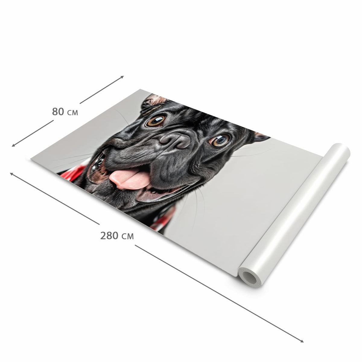 Küchenläufer Bulldogge mit Halstuch zusammengerollt