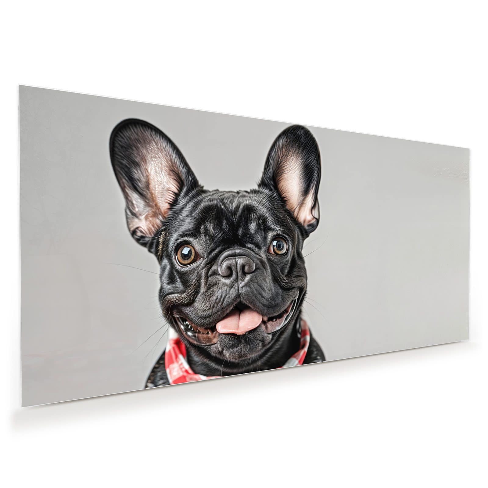 #grösse_60 x 30 cm #grösse_80 x 40 cm #grösse_100 x 50 cm #grösse_110 x 55 cm #grösse_120 x 60 cm