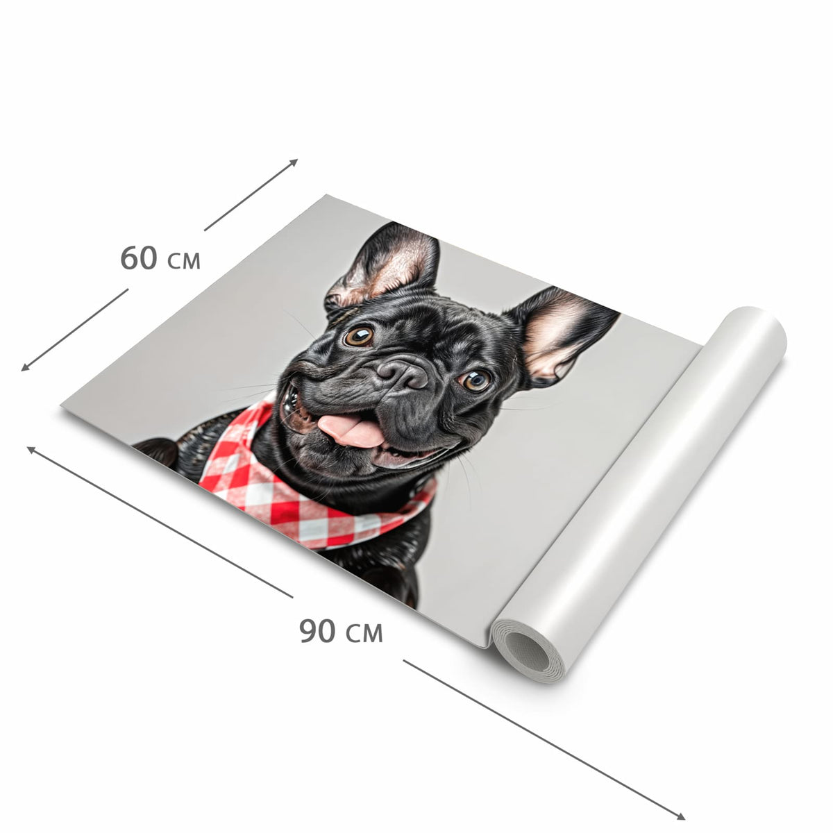 Küchenläufer Bulldogge mit Halstuch zusammengerollt
