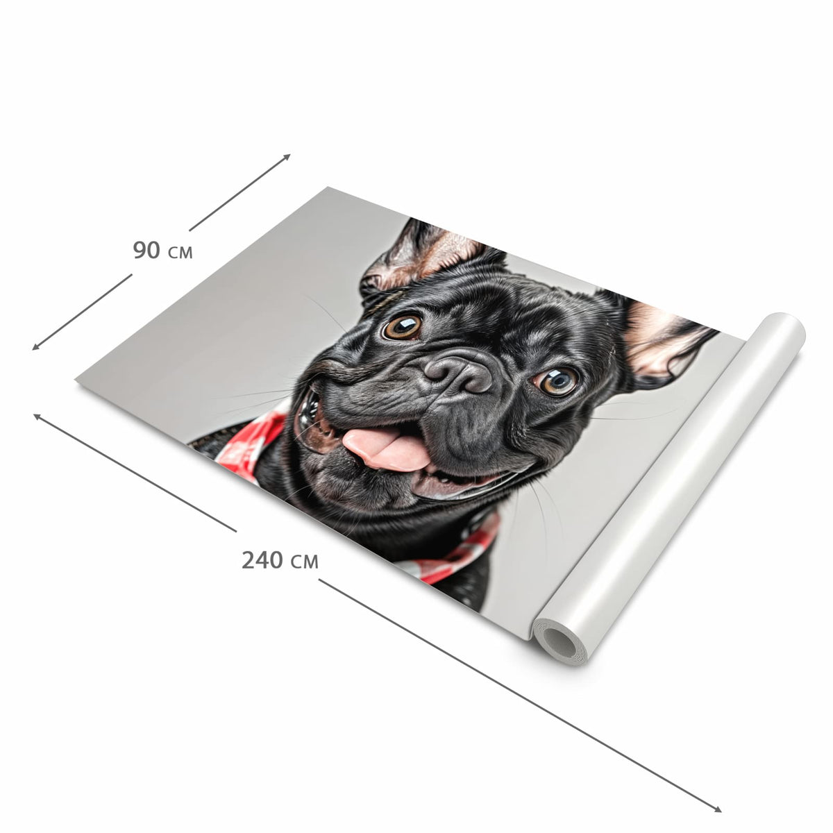 Küchenläufer Bulldogge mit Halstuch zusammengerollt