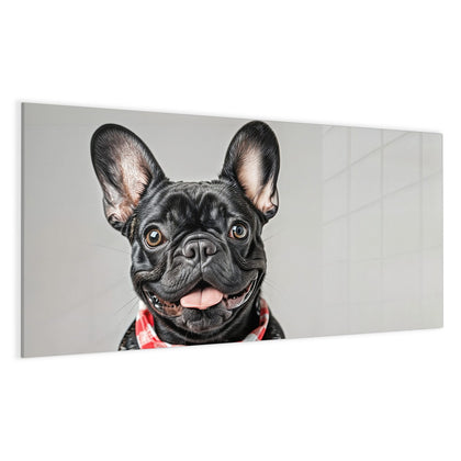 Glas Magnettafel mit dem Motiv Bulldogge mit Halstuch