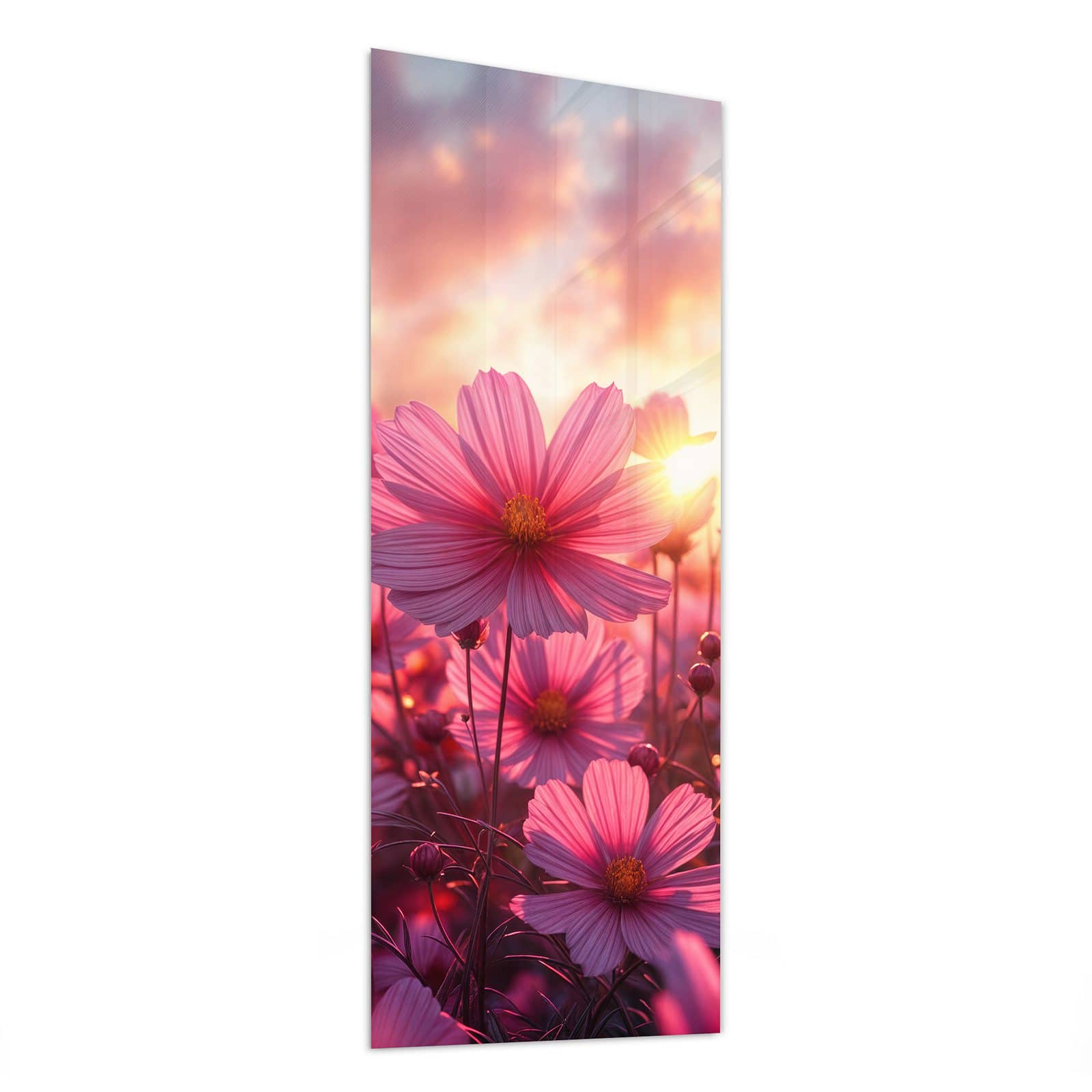#grösse_50 x 125 cm #grösse_40 x 100 cm #grösse_60 x 150 cm
