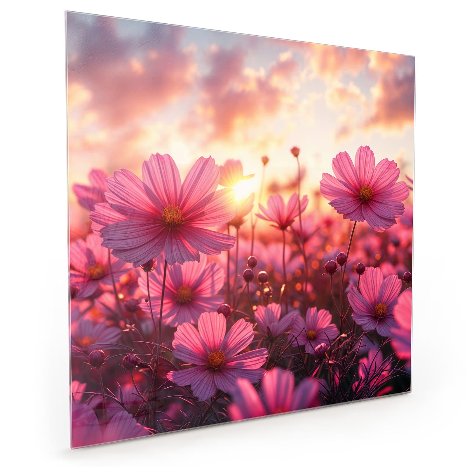 #70 x 70 cm_