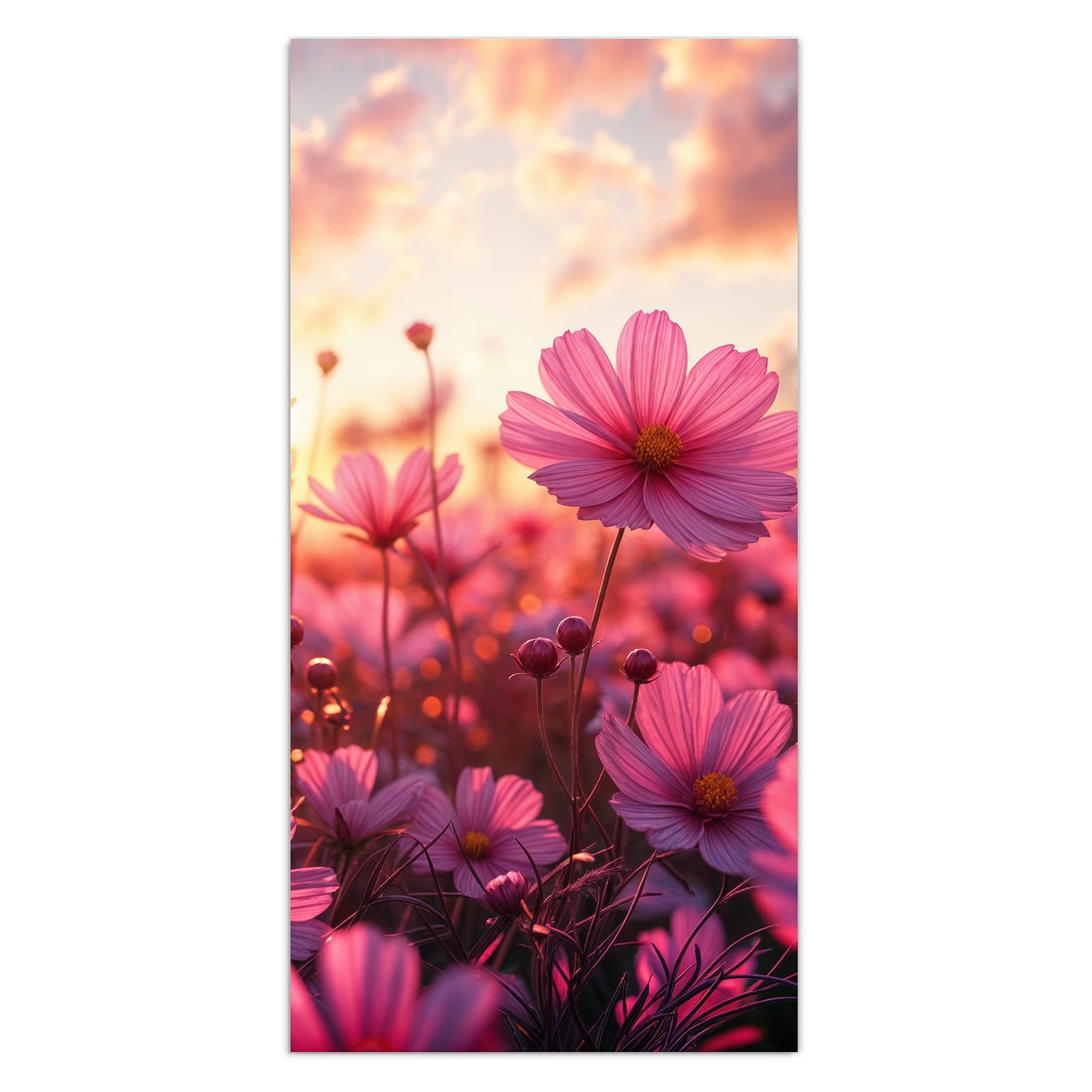 #grösse_30 x 60 cm #grösse_40 x 80 cm #grösse_50 x 100 cm #grösse_55 x 110 cm #grösse_60 x 120 cm