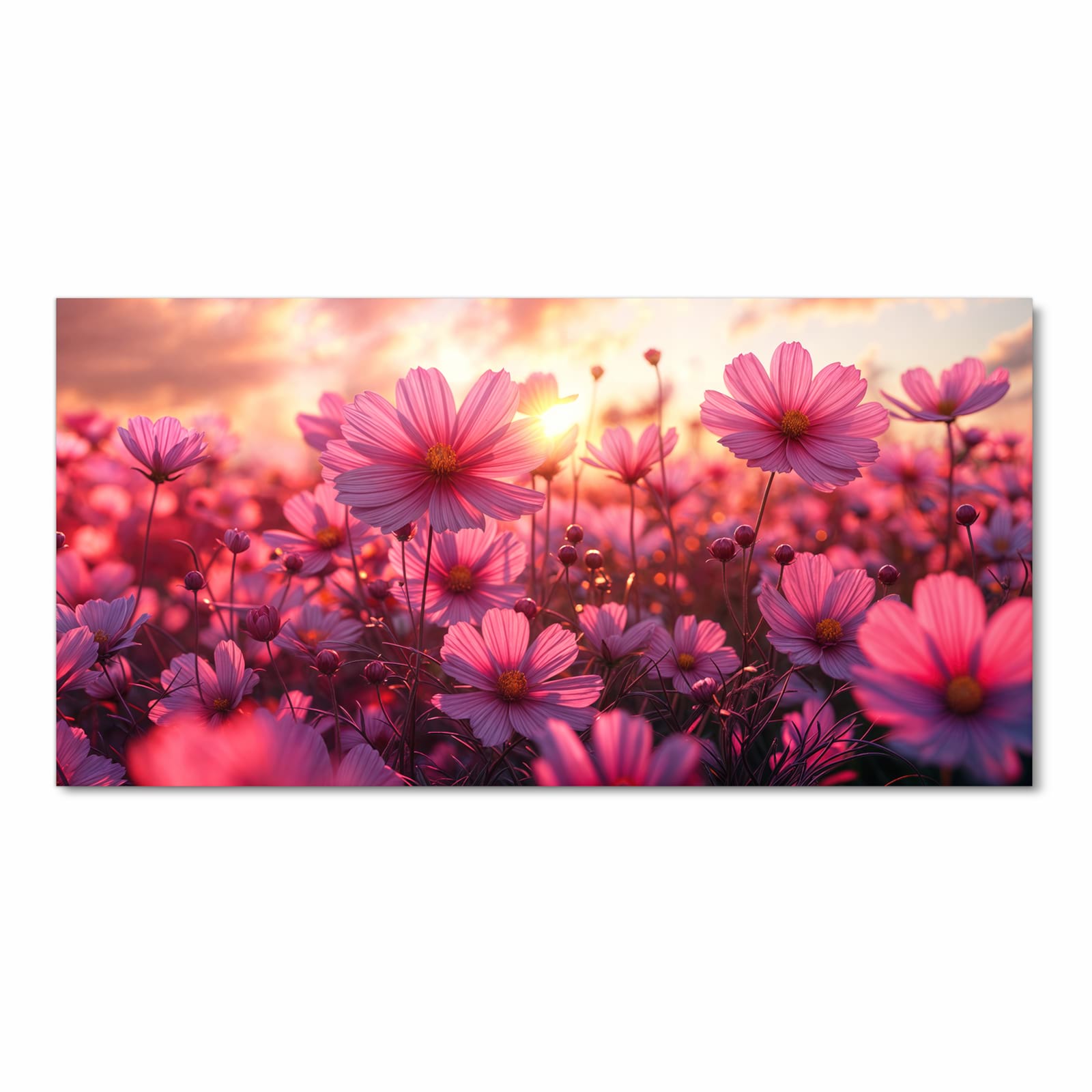 Bodenschonender Teppich fürs Esszimmer mit Motiv Blumenfeld Sonnenuntergang in Frontansicht, waschbar