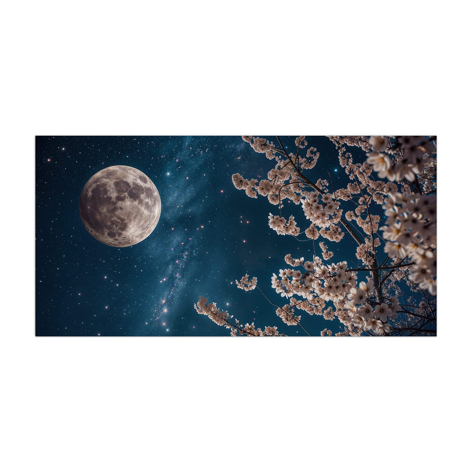 #grösse_40 x 80 cm #grösse_50 x 100 cm #grösse_55 x 110 cm #grösse_60 x 120 cm