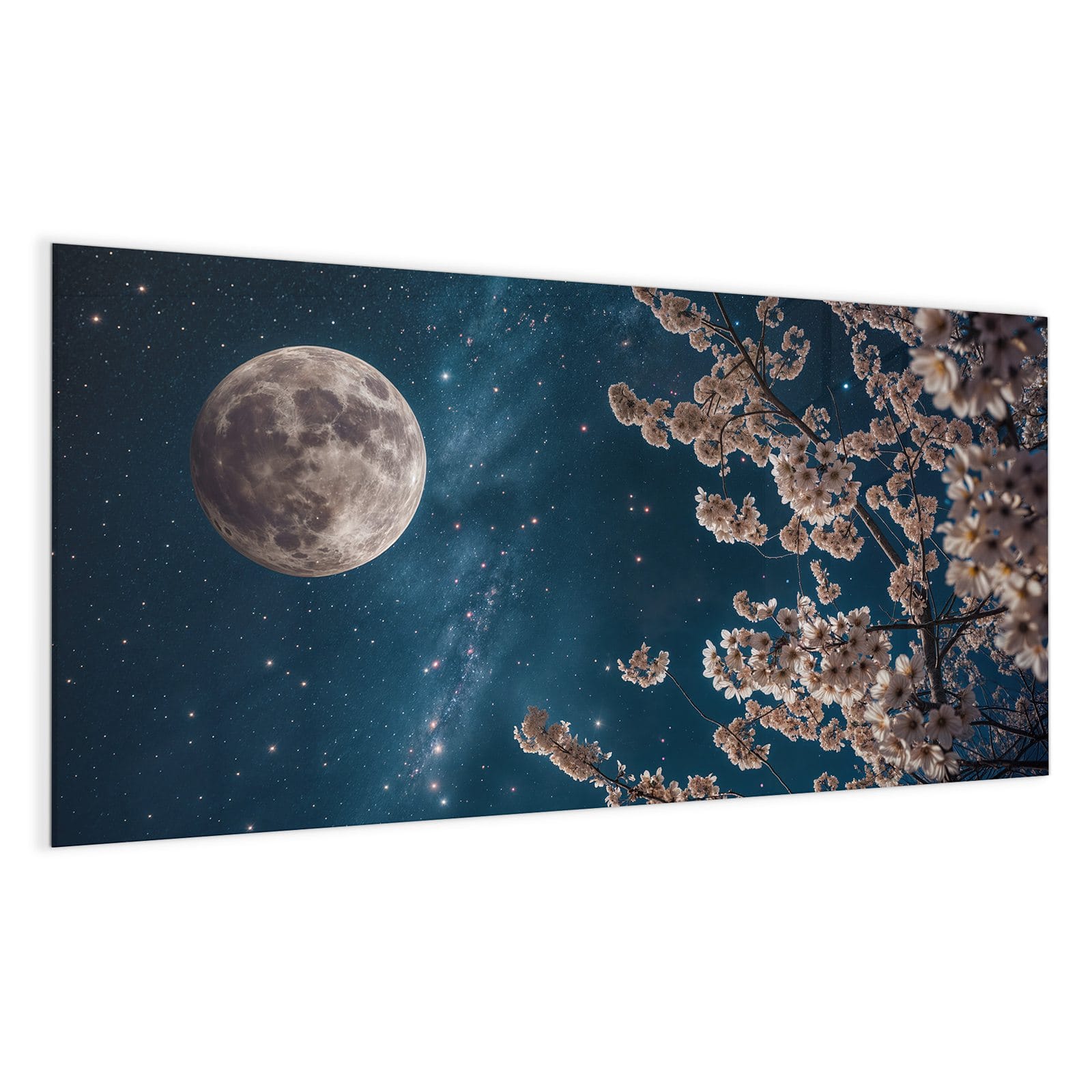 #grösse_100 x 50 cm