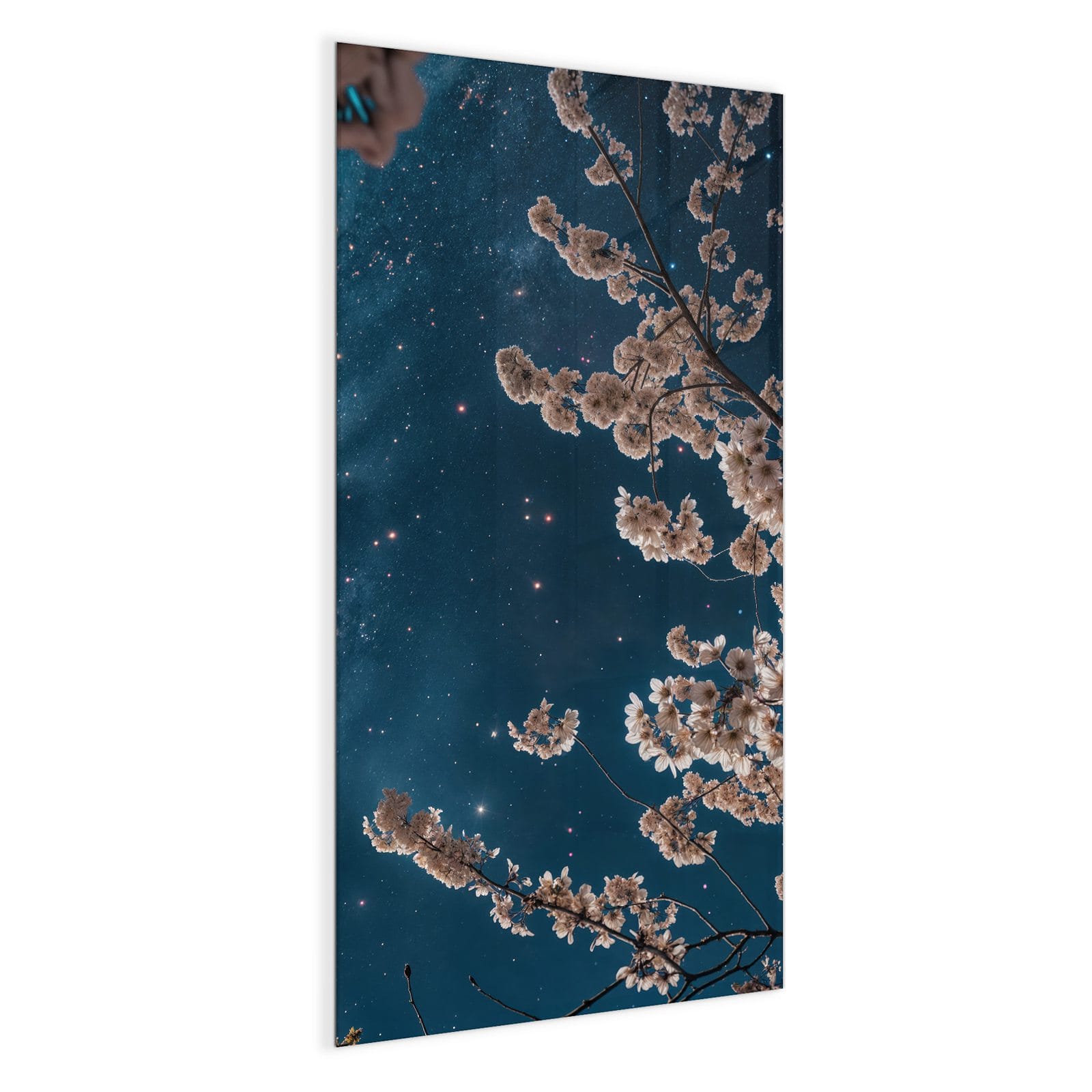 #grösse_50 x 100 cm