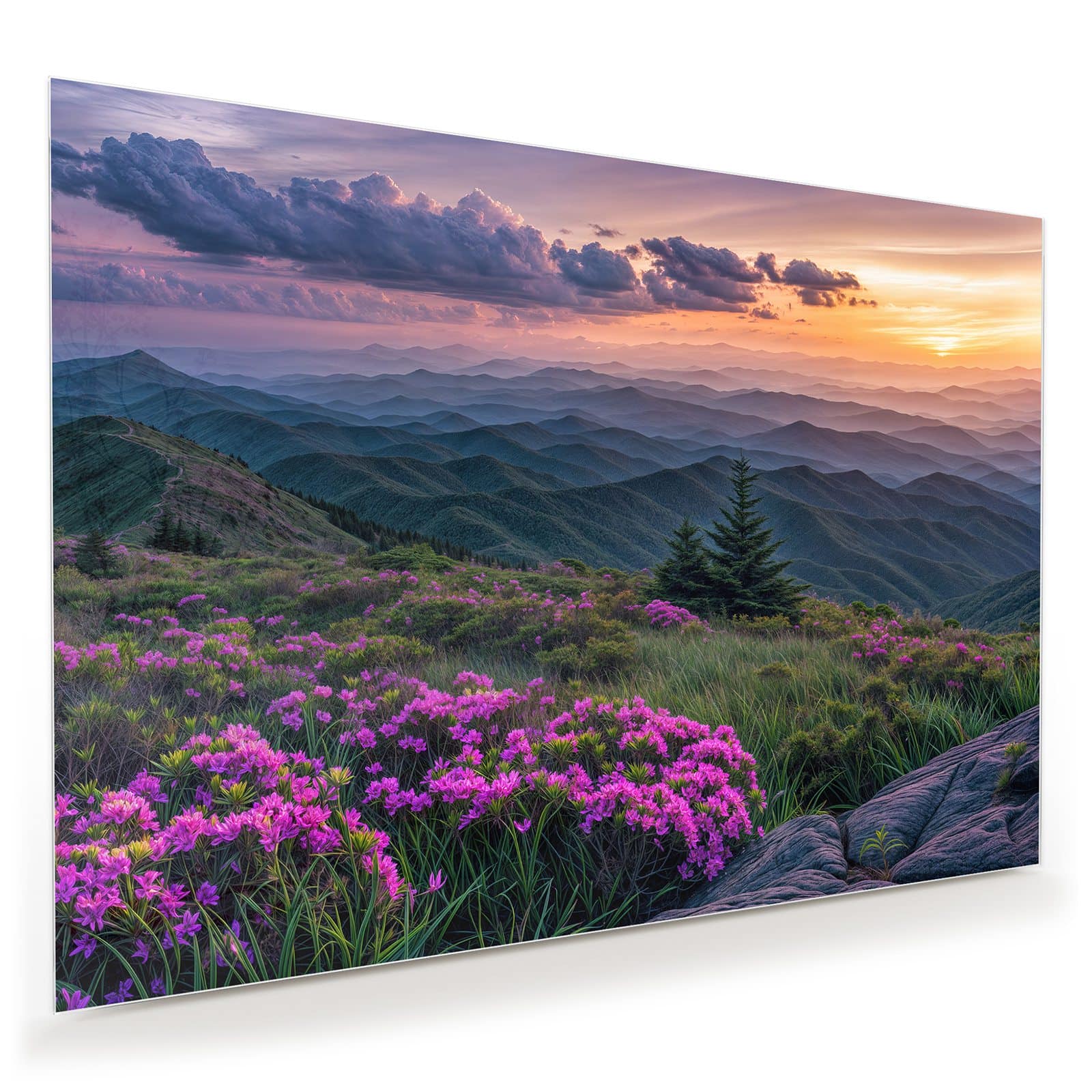 #grösse_100 x 70 cm