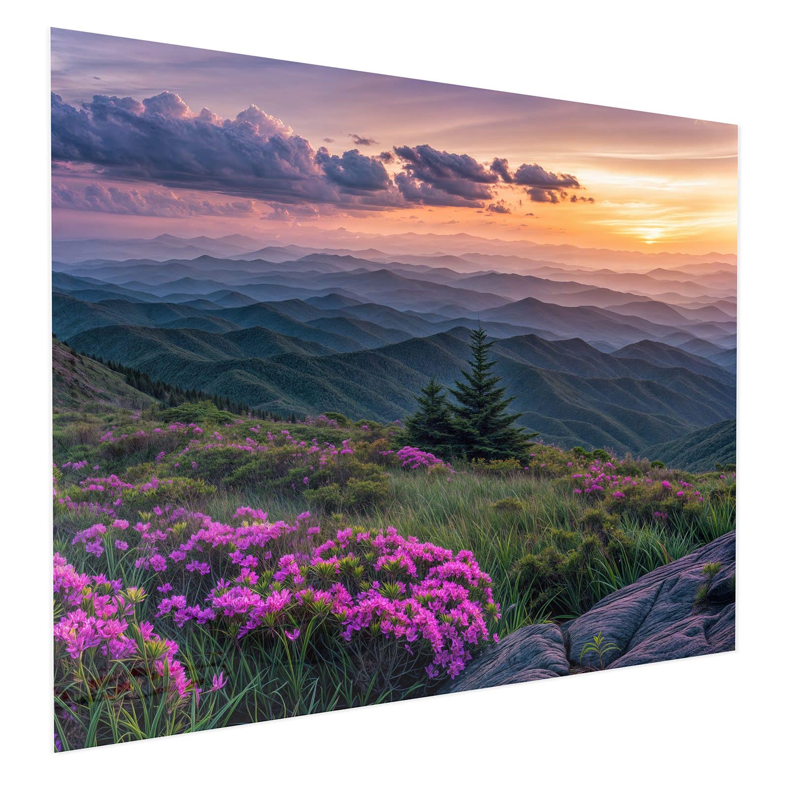 #grösse_75 x 60 cm #grösse_100 x 80 cm