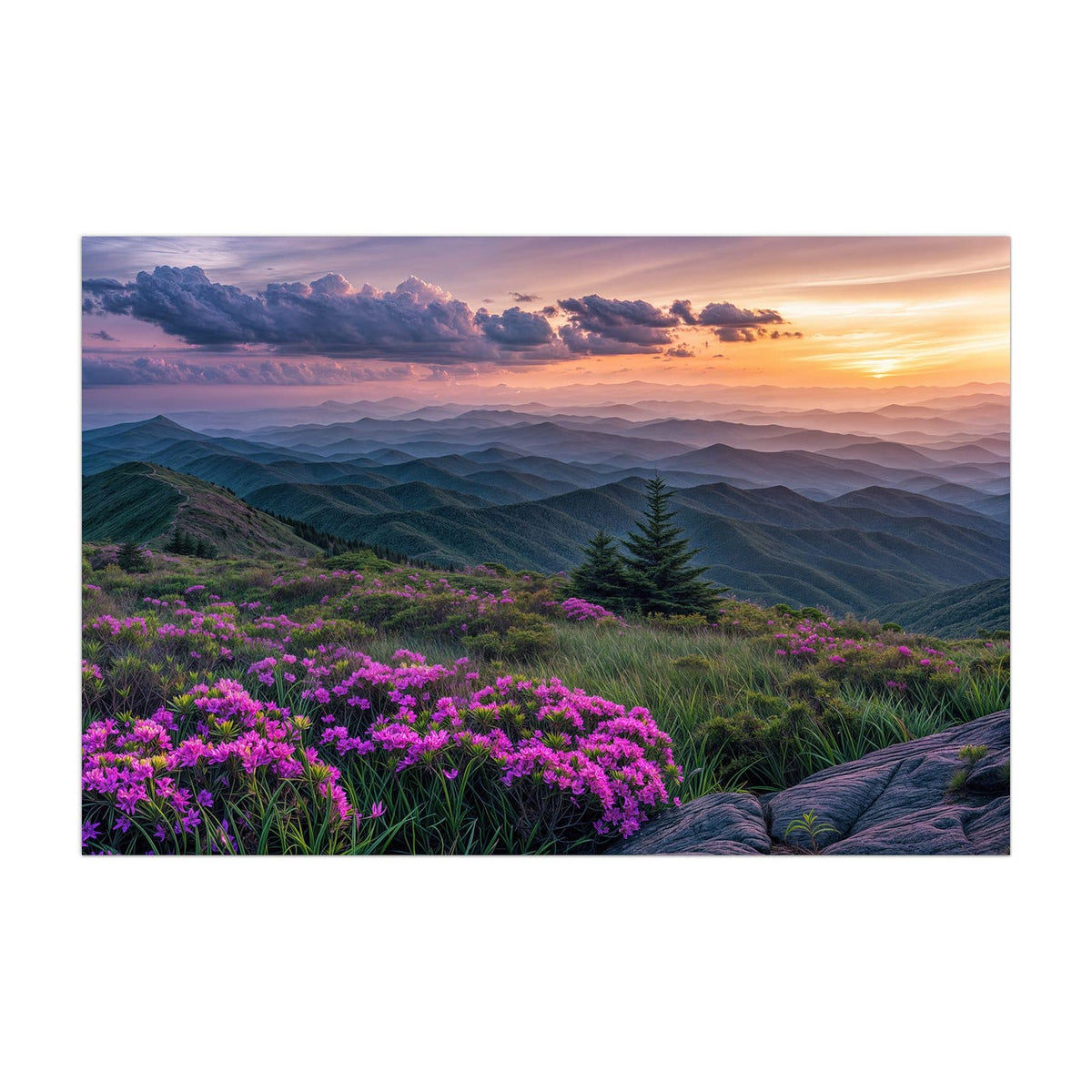 Küchenrückwand aus Glas Blüten vor Bergketten im Hochformat, Motiv bildfüllend von vorn