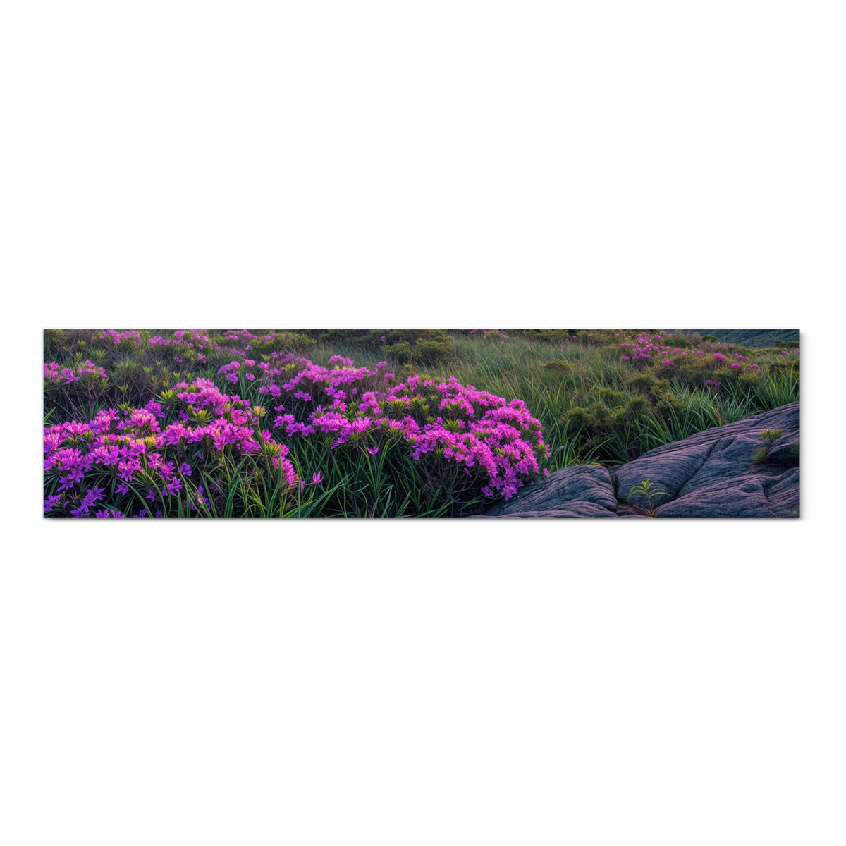 UV-beständiger Küchenteppich mit Motiv Berglandschaft Blumen in Frontansicht für die Küche