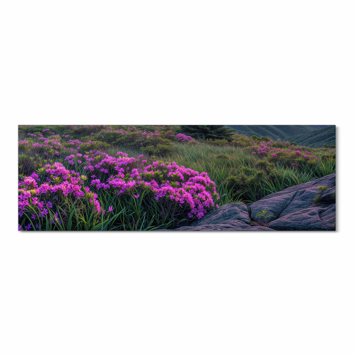 Abriebfester Küchenteppich mit Motiv Berglandschaft Blumen in Frontansicht