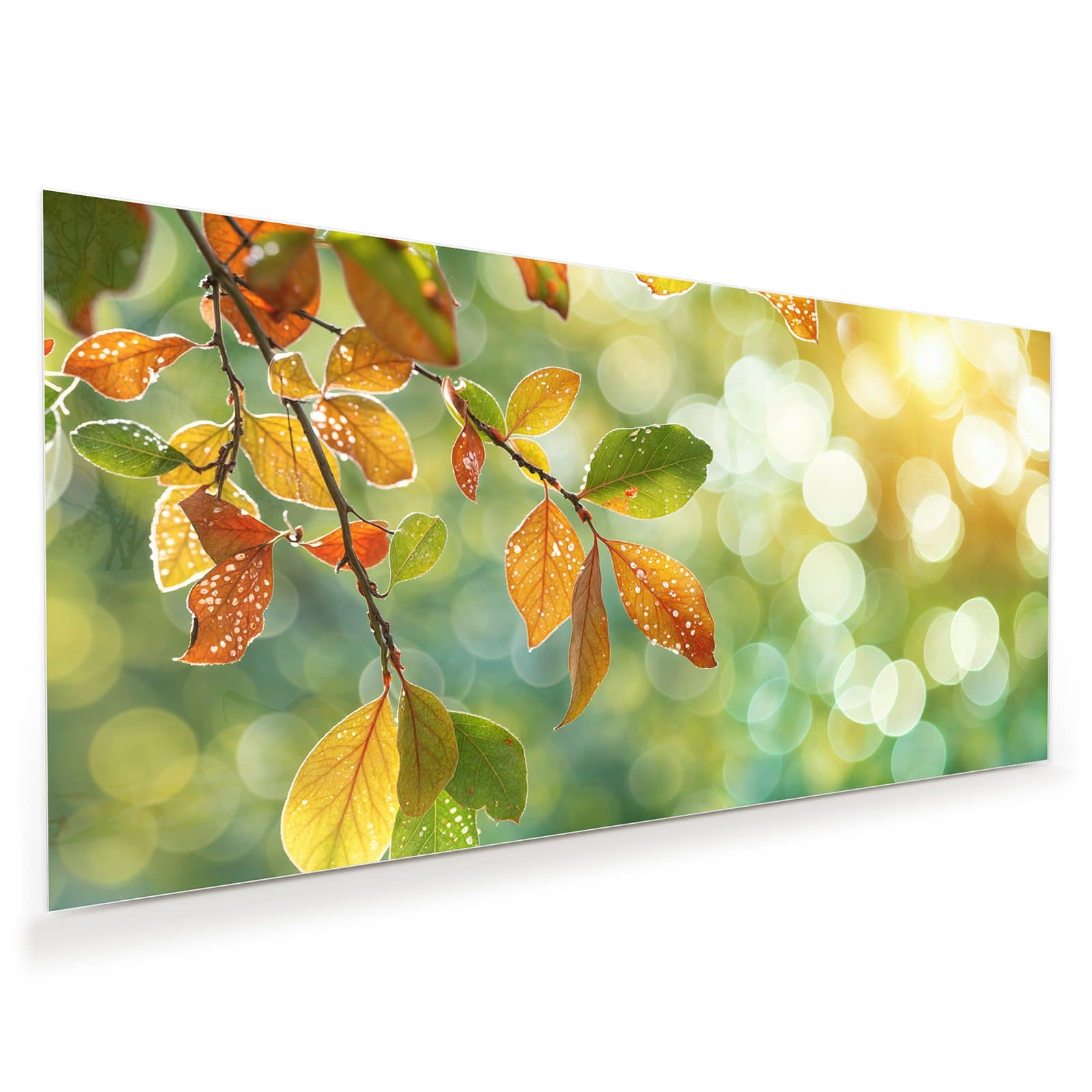 #grösse_60 x 30 cm #grösse_80 x 40 cm #grösse_100 x 50 cm #grösse_110 x 55 cm #grösse_120 x 60 cm