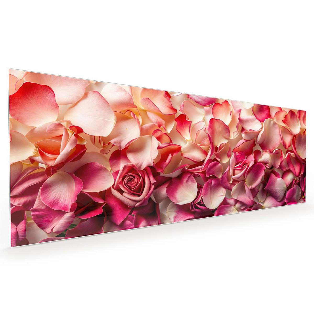 Küchenrückwand aus Glas im Hochformat: Dicht liegende Rosenblütenblätter in Pink und Creme, eine geöffnete Rose in der Mitte