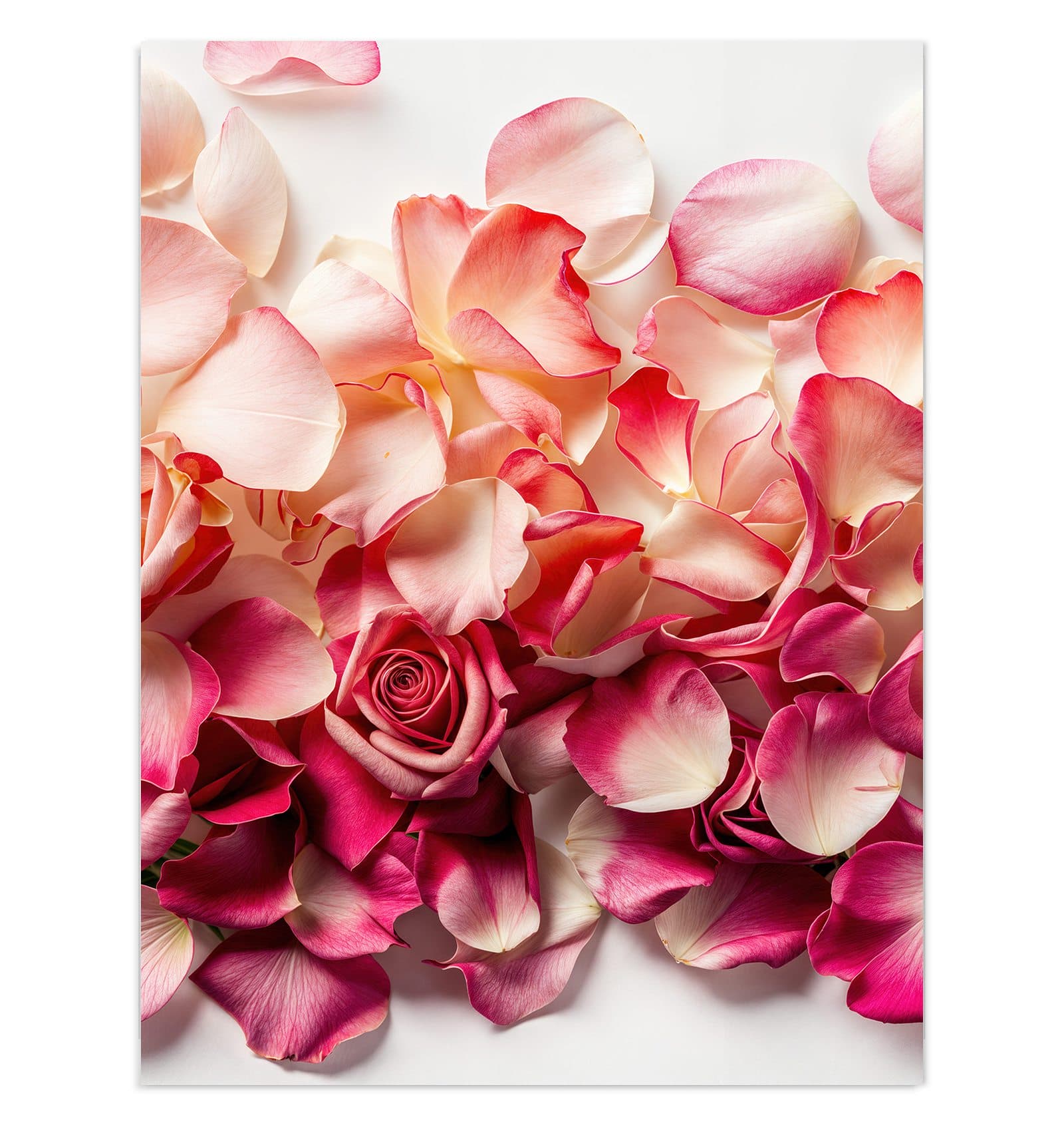 #grösse_30 x 40 cm #grösse_60 x 80 cm #grösse_75 x 100 cm