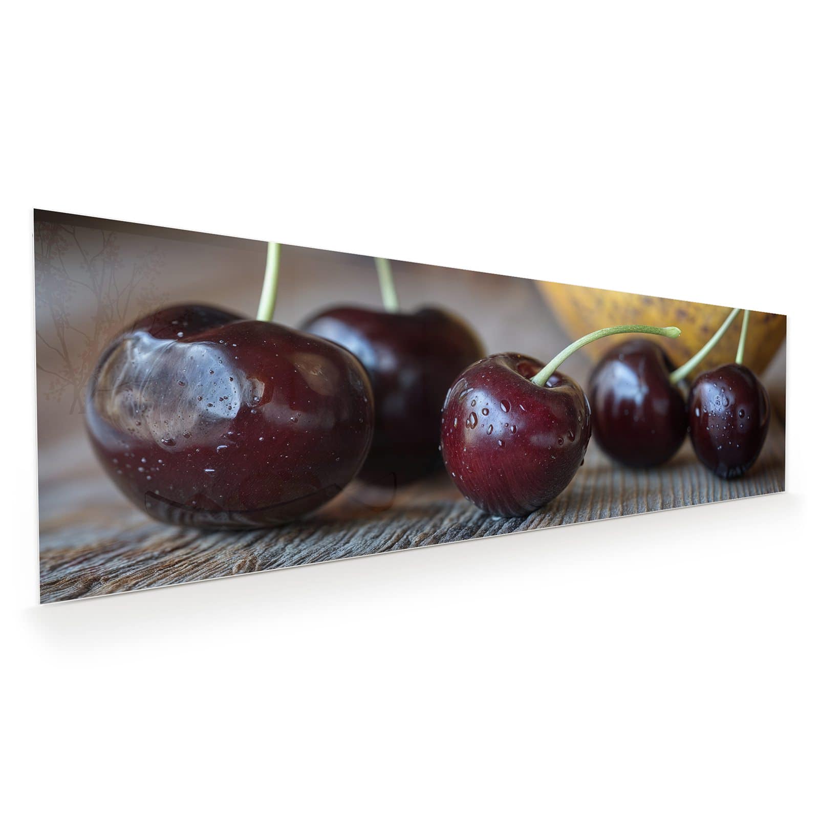 #grösse_120 x 40 cm