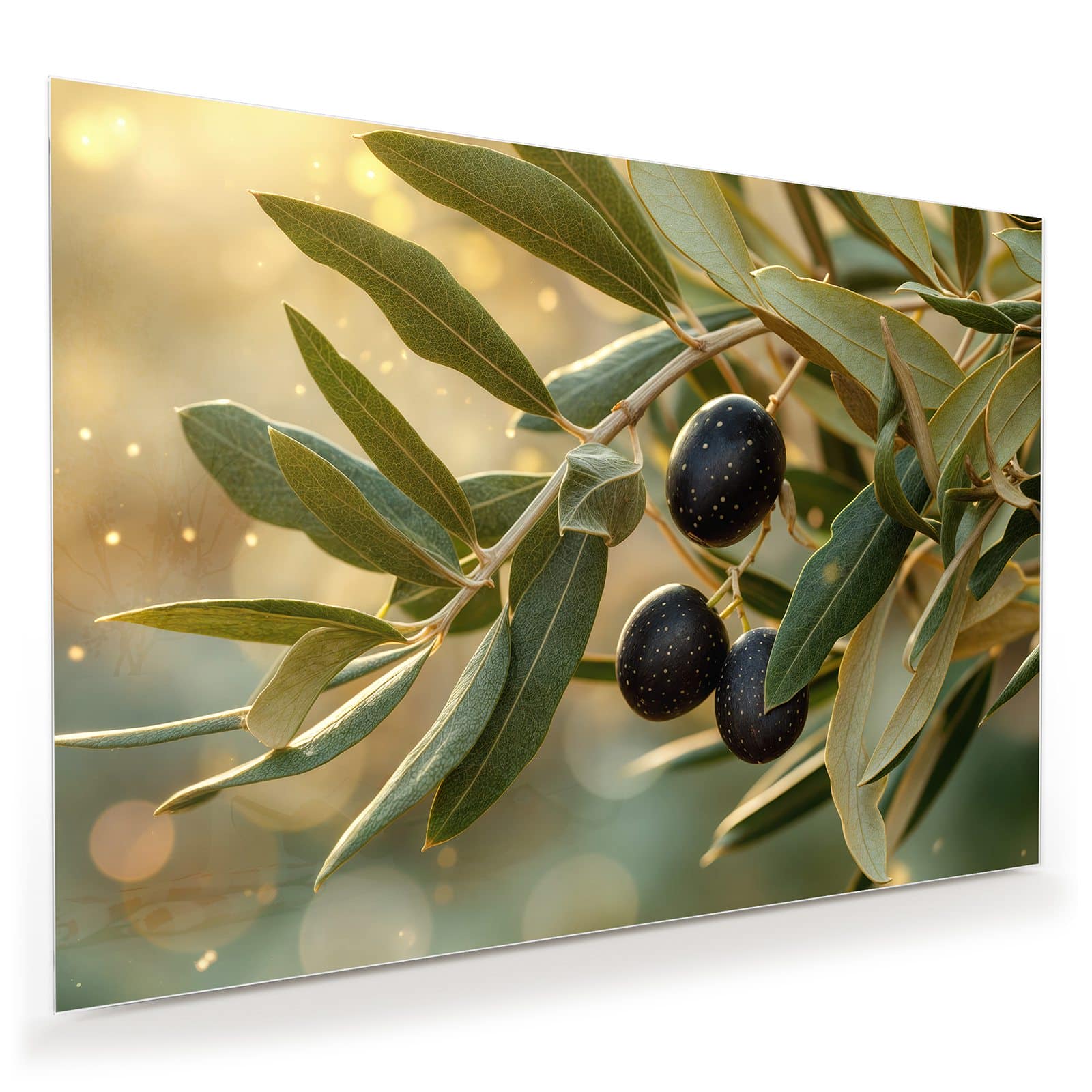 #grösse_100 x 70 cm