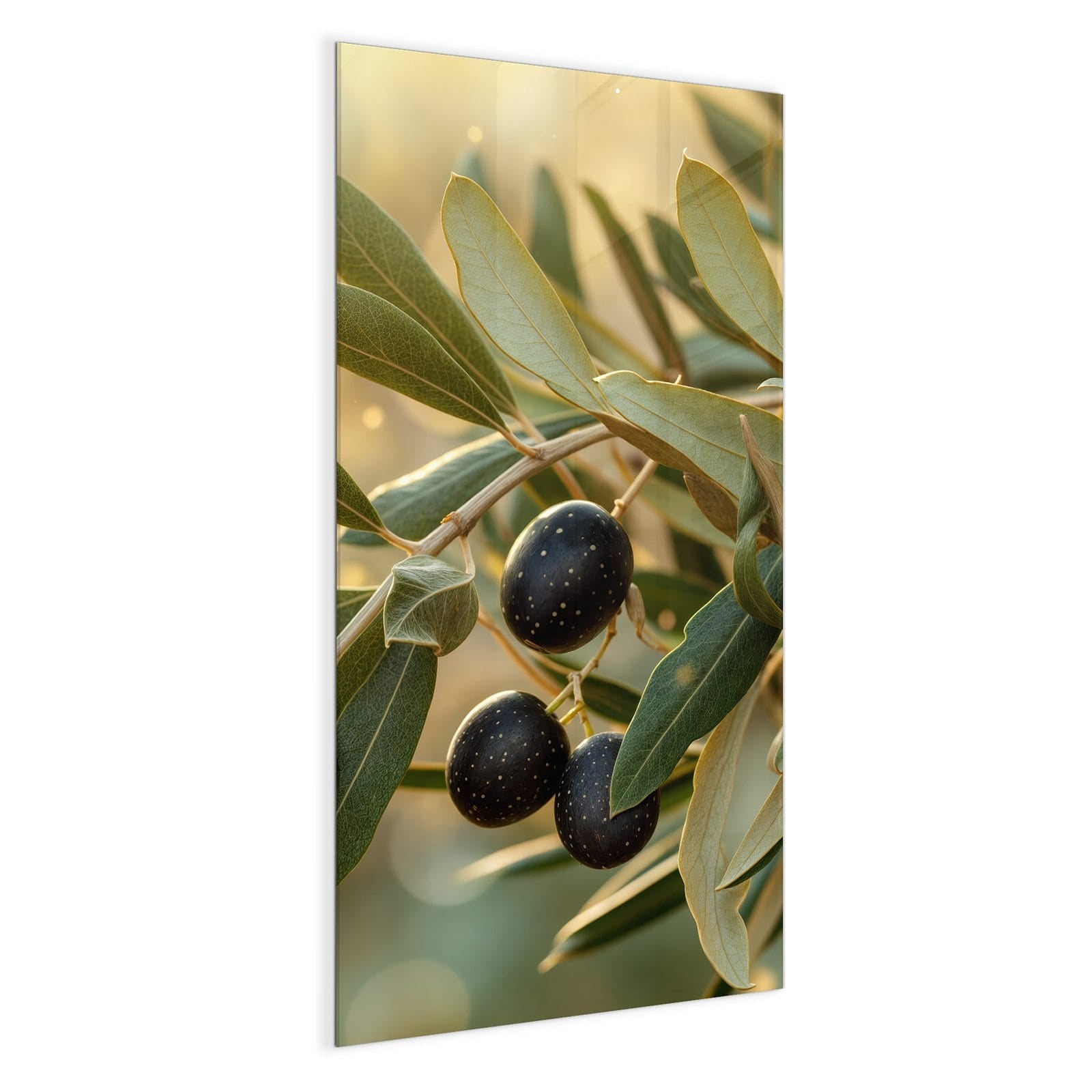 #grösse_50 x 100 cm