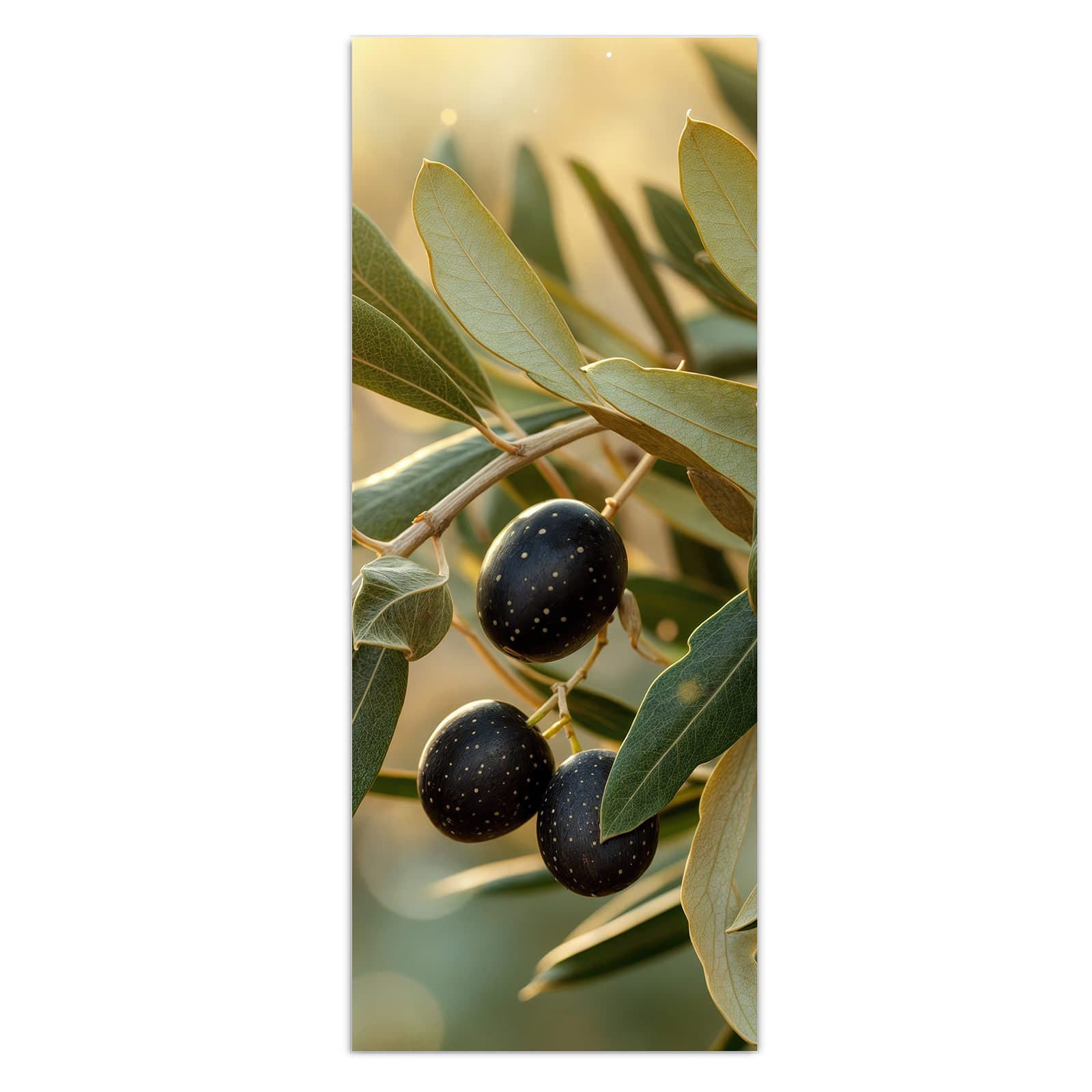 #grösse_50 x 125 cm #grösse_40 x 100 cm #grösse_60 x 150 cm