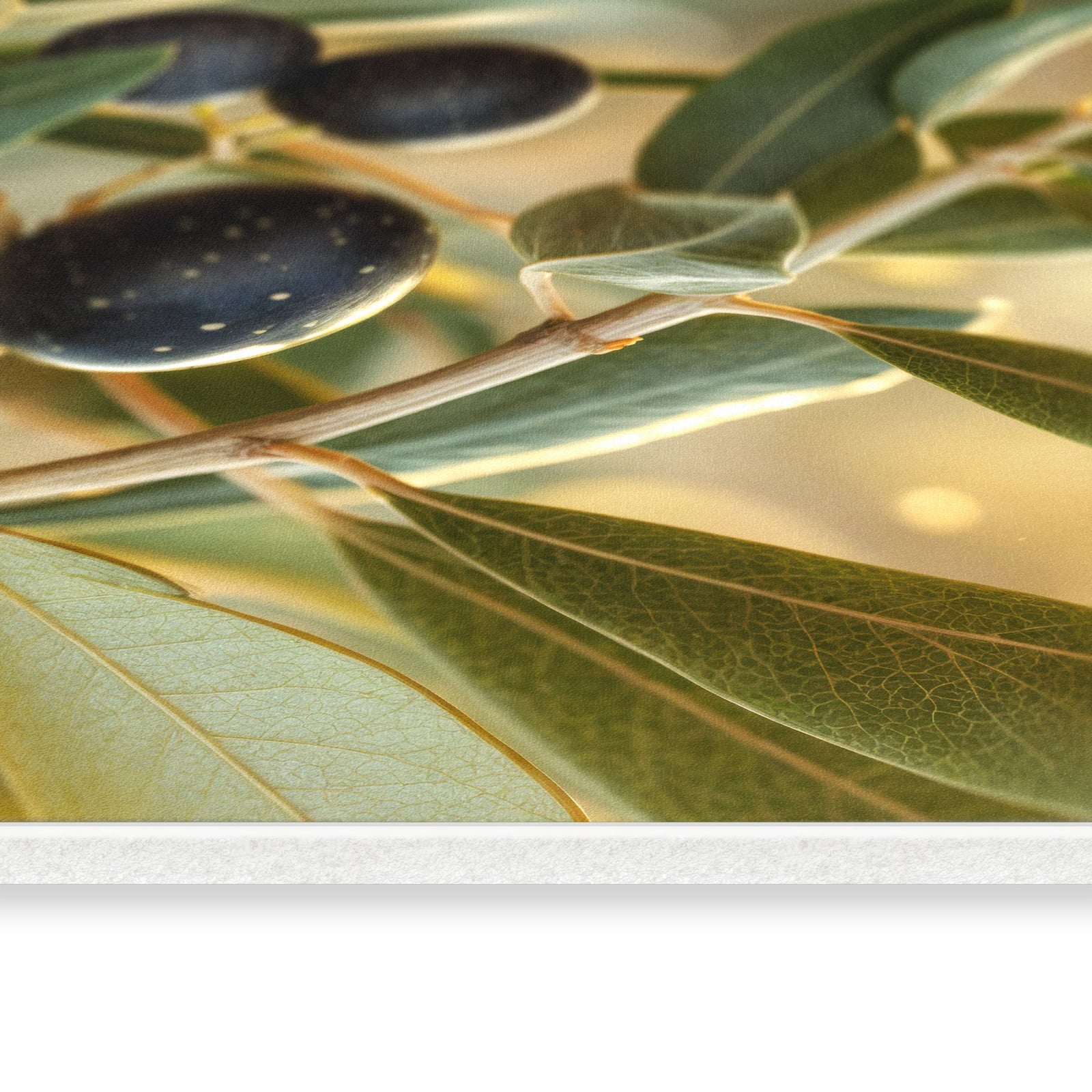 Rutschhemmender Teppich für die Küche mit Motiv Olivenzweig in seitlicher Ansicht