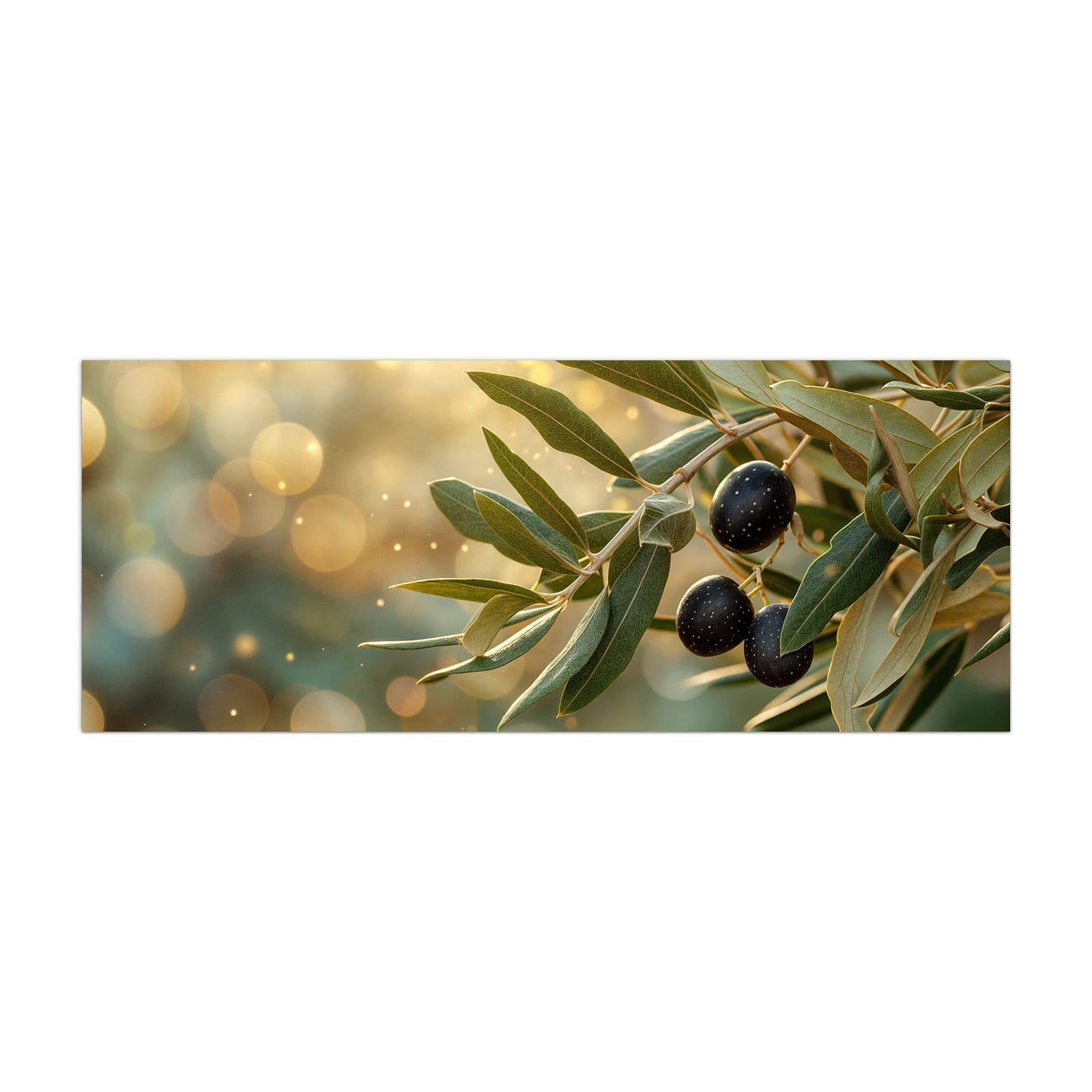 #grösse_40 x 100 cm #grösse_50 x 125 cm #grösse_60 x 150 cm