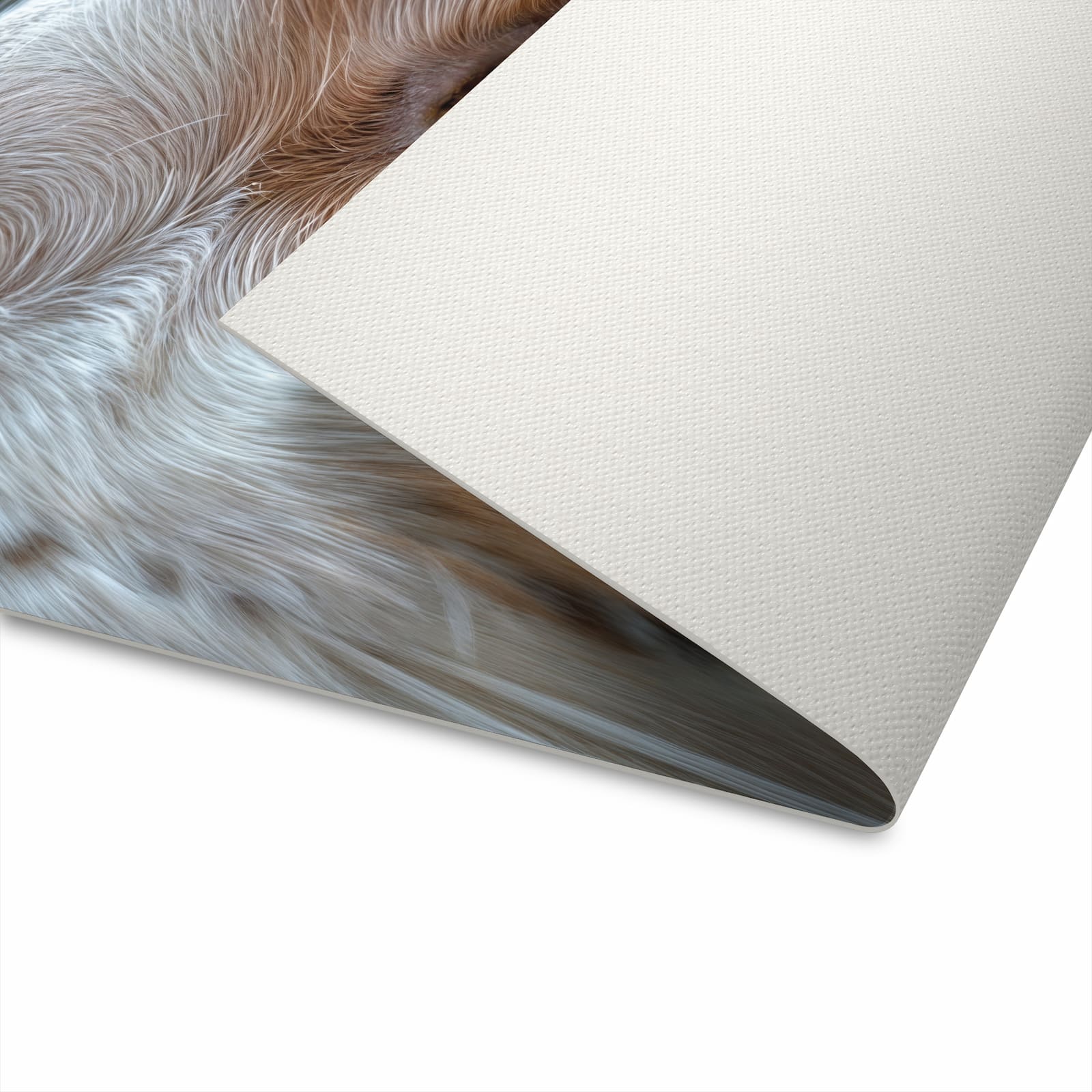 Zeitsparender Küchenläufer nach Maß mit Motiv Katzenaugen in der Unterseite