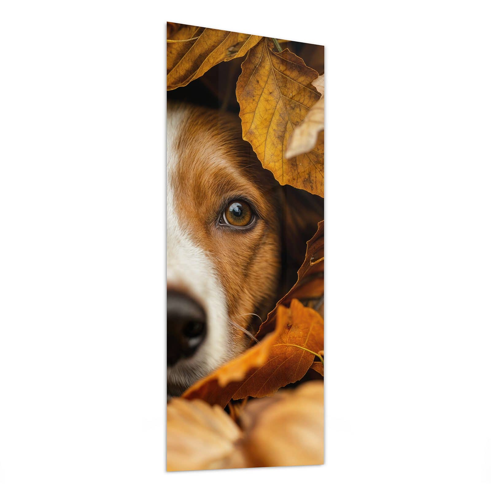 #grösse_50 x 125 cm #grösse_40 x 100 cm #grösse_60 x 150 cm