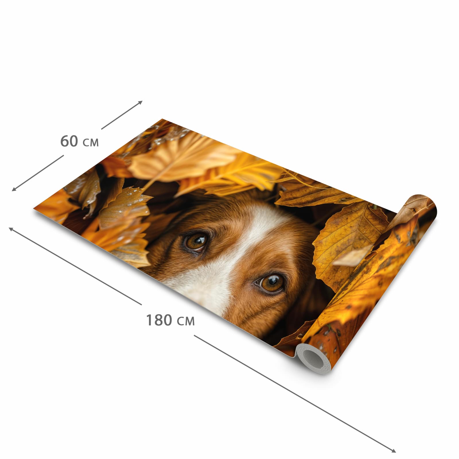 Farbbeständiger Küchenteppich mit Motiv Hund im Herbstlaub in der Grösse 60x300 cm