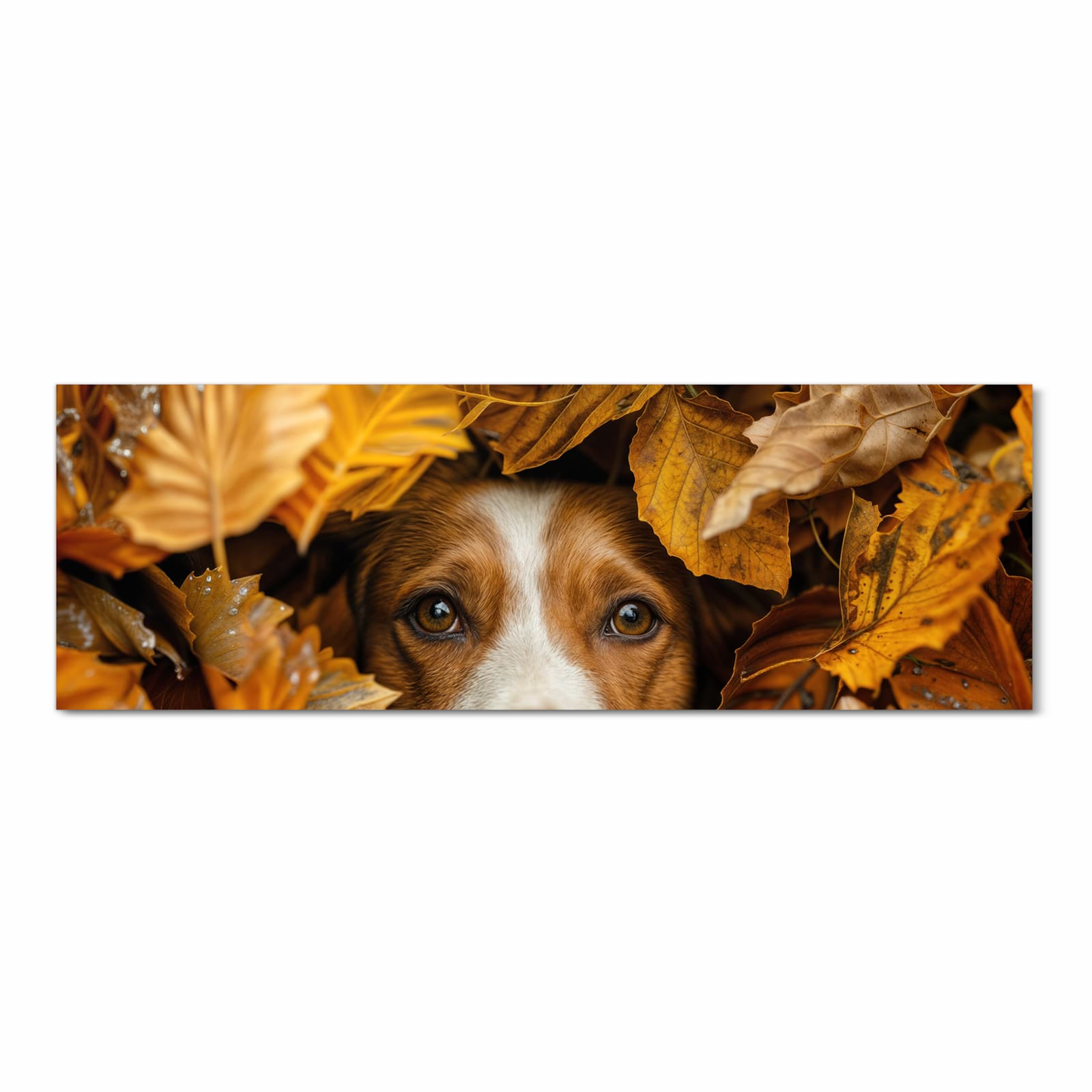 Formstabiler abwaschbarer Küchenteppich mit Motiv Hund im Herbstlaub in Frontansicht