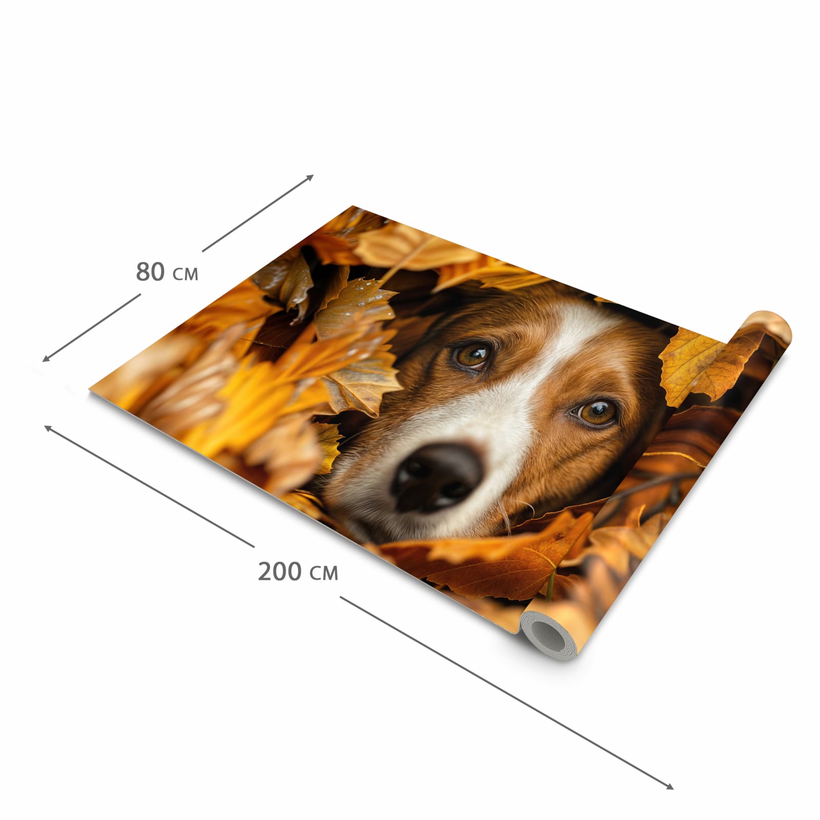 Abriebfester Küchenteppich mit Motiv Hund im Herbstlaub in der Grösse 60x300 cm, waschbar