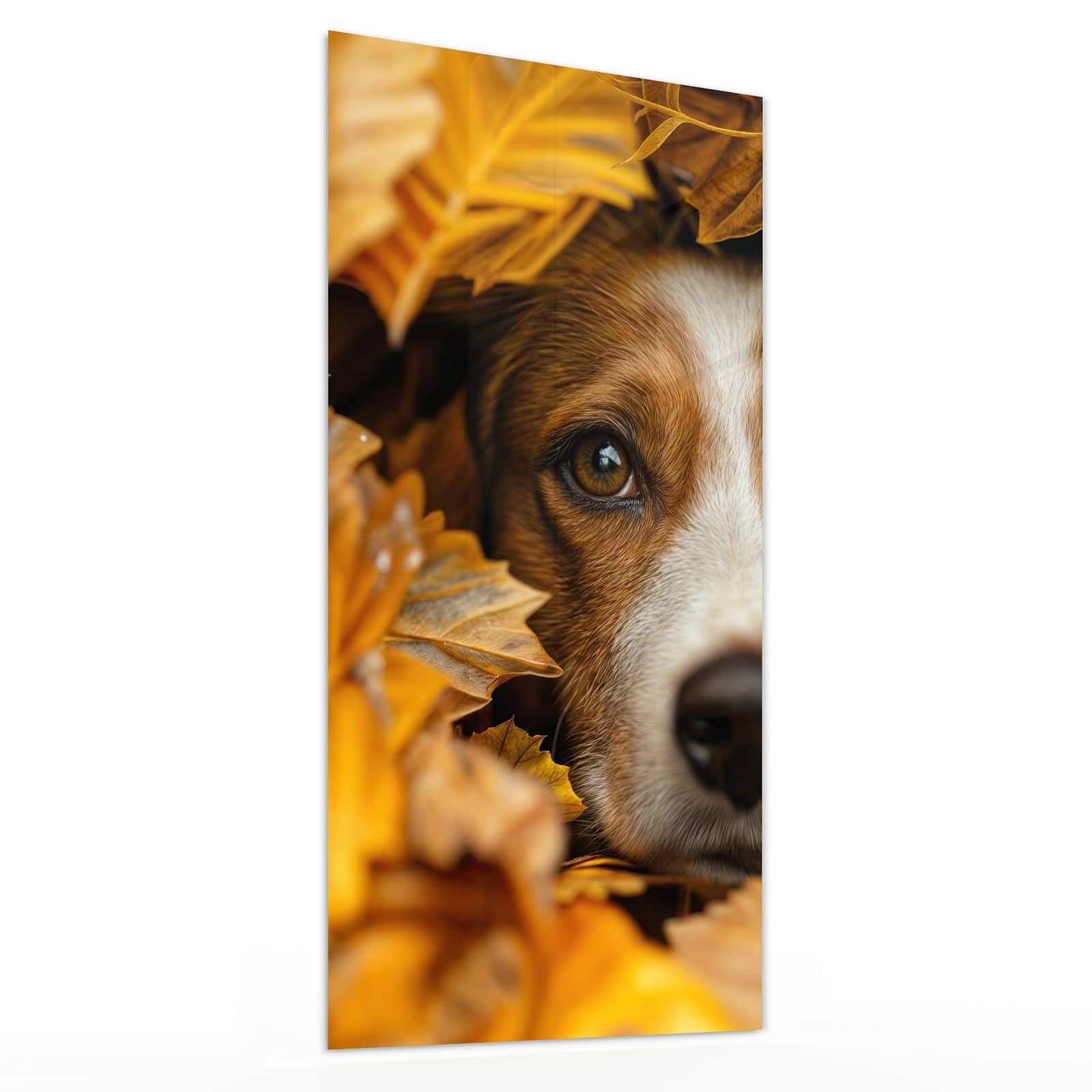 #grösse_30 x 60 cm #grösse_40 x 80 cm #grösse_50 x 100 cm #grösse_55 x 110 cm #grösse_60 x 120 cm