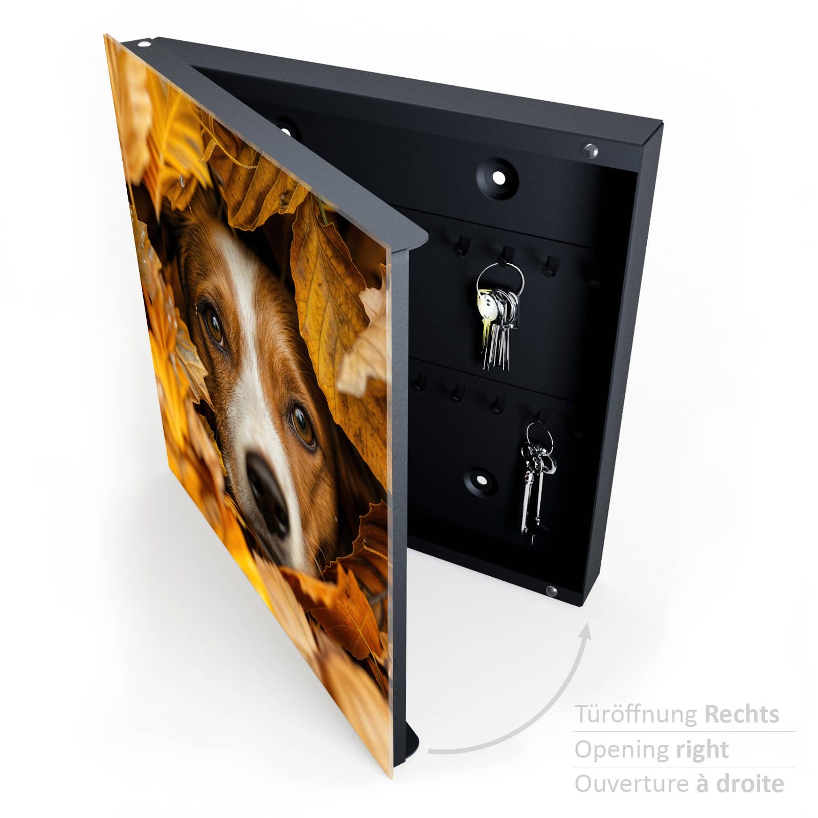 #türöffnung_rechts