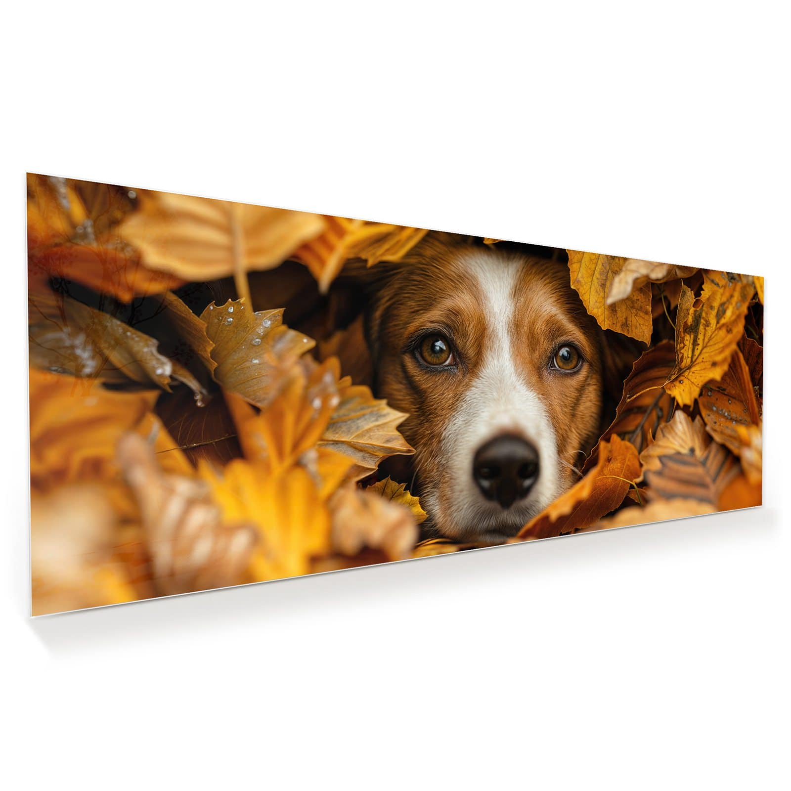 #grösse_100 x 40 cm #grösse_125 x 50 cm #grösse_150 x 60 cm