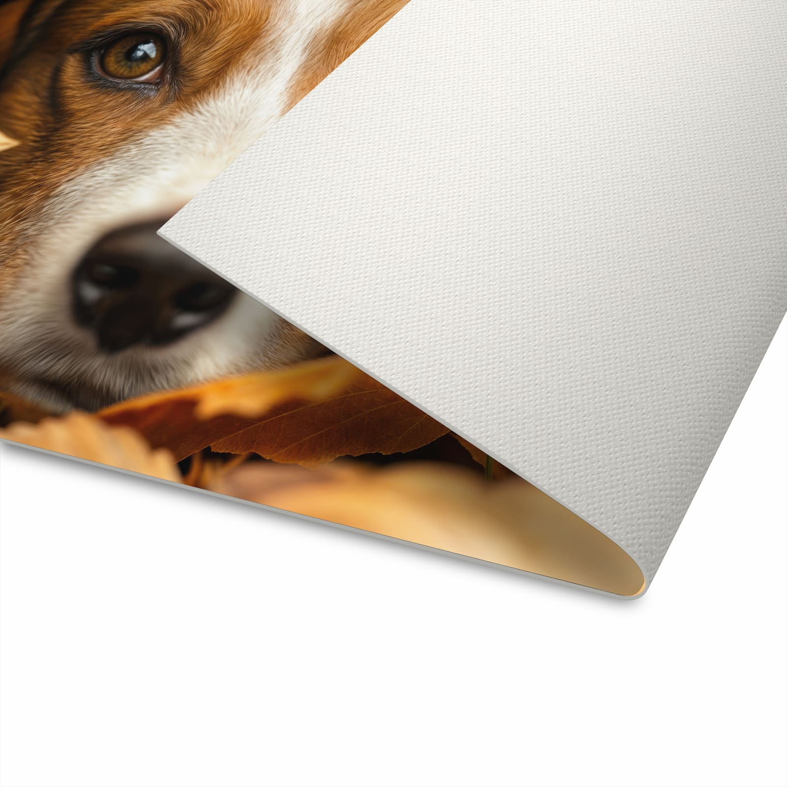 Moderner Küchenläufer mit Motiv Hund im Herbstlaub für sichere Aufbewahrung