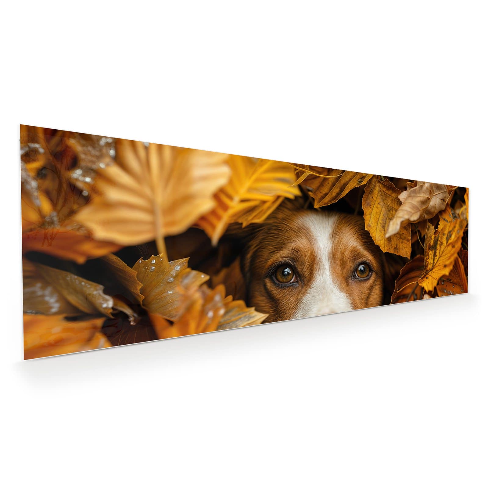 #grösse_120 x 40 cm