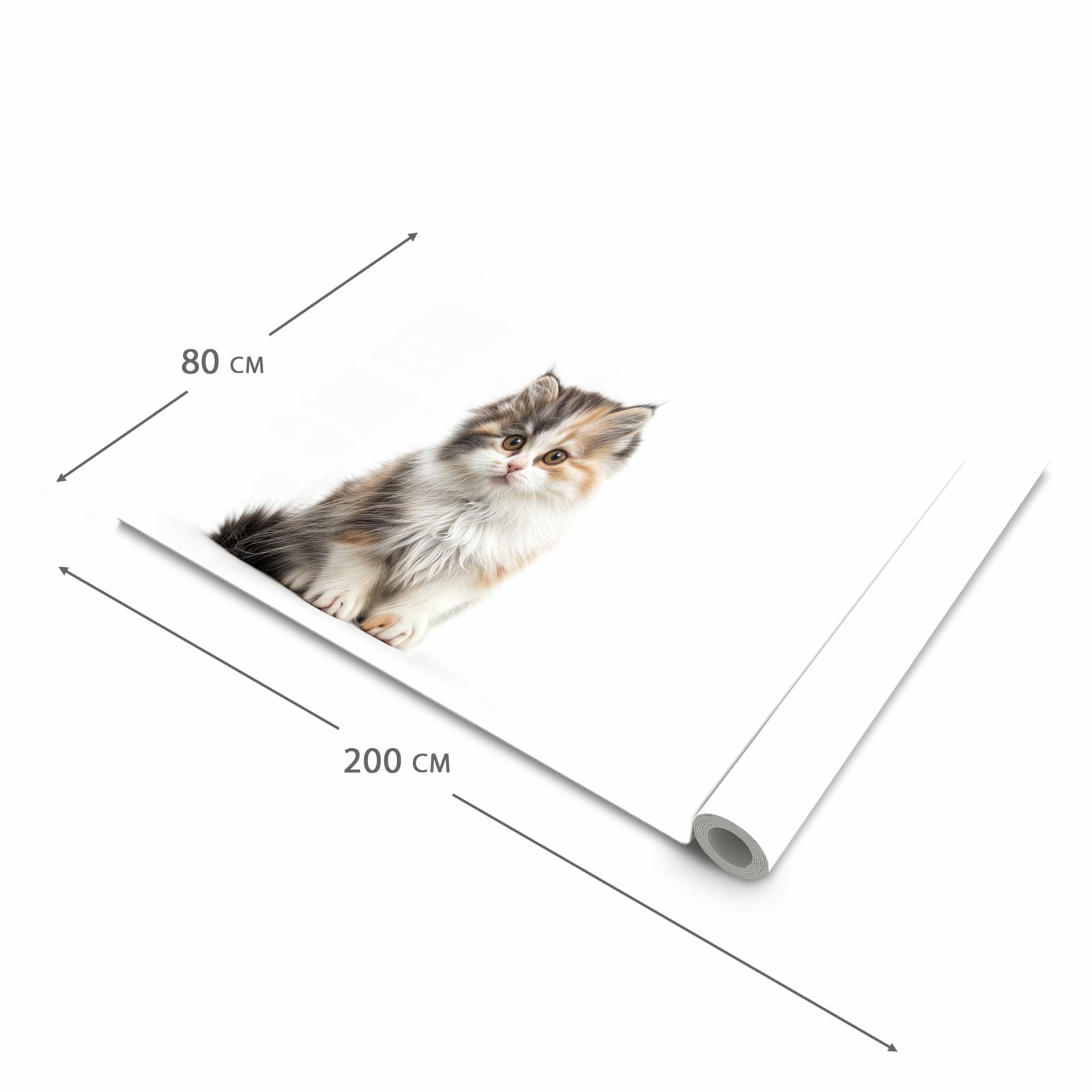 Strapazierfähiger dünner Teppich mit Motiv Flauschige Katze in der Grösse 60x300 cm