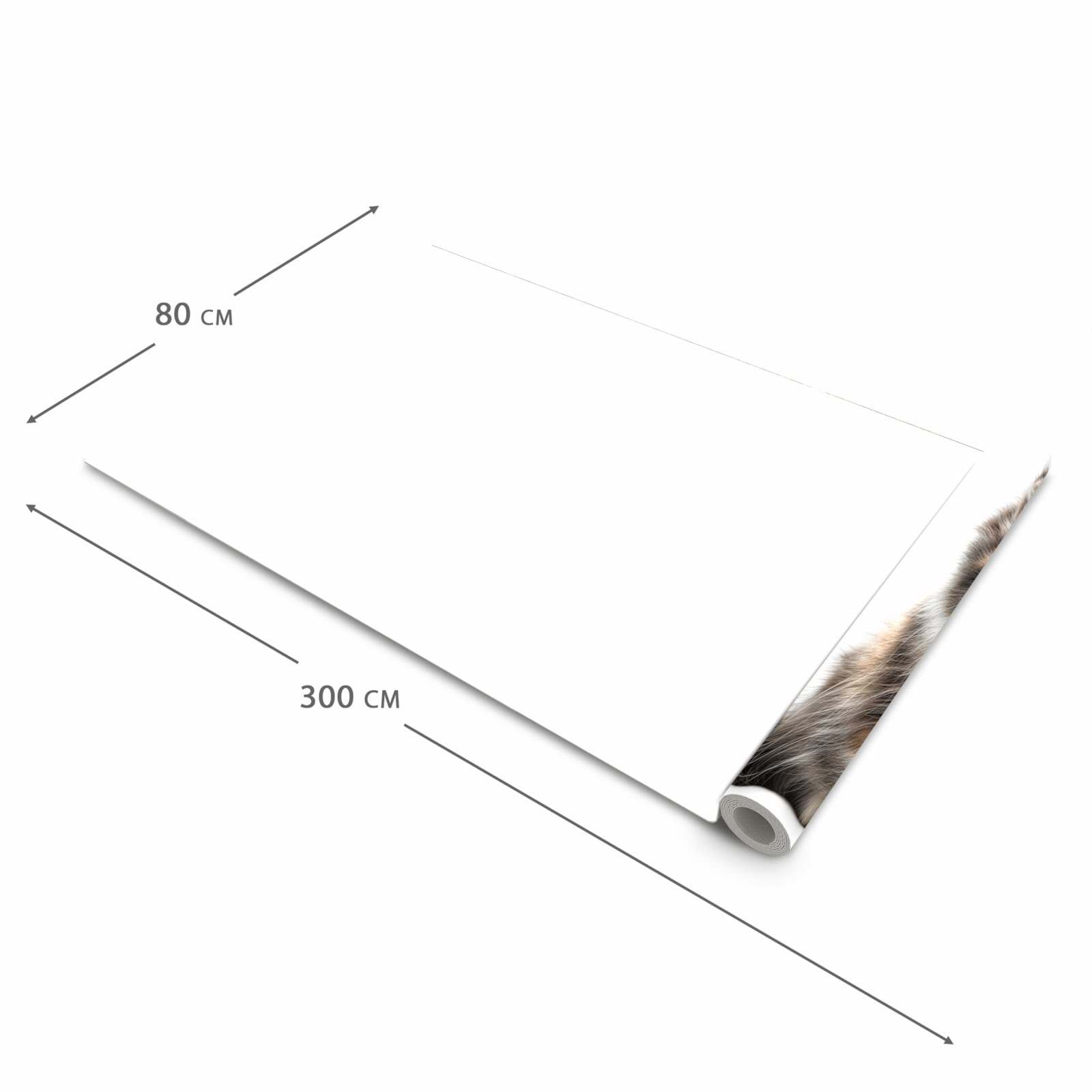 Rutschfester waschbarer Teppich fürs Esszimmer mit Motiv Flauschige Katze in der Größe 60x300 cm