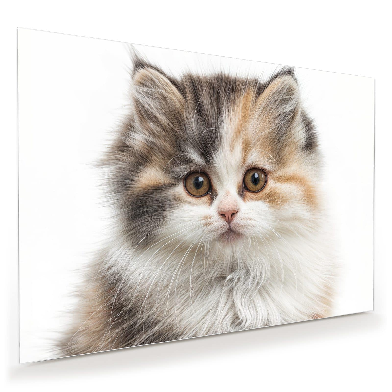 #grösse_100 x 70 cm